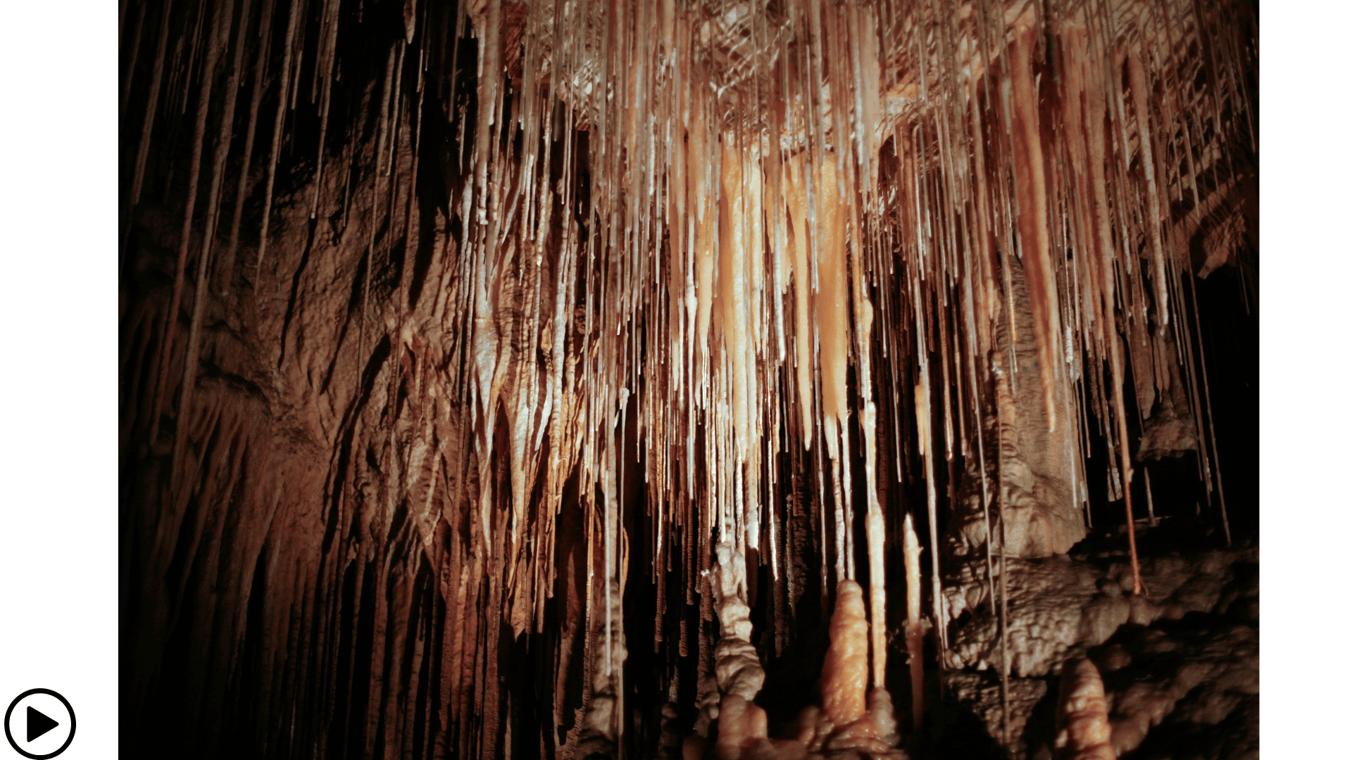 De Hastings grotten in tasmanië gevuld met druipstenen