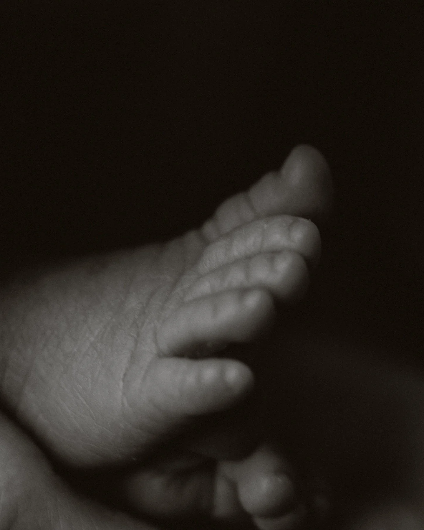 From &lsquo;I do&rsquo; to &lsquo;hello, world&rsquo;&hellip;
I have the honor of capturing love in its most beautiful forms.

And there is nothing more magical
than the very first days of life ✨ 

The softest moments,
the tiniest details,
the beginn