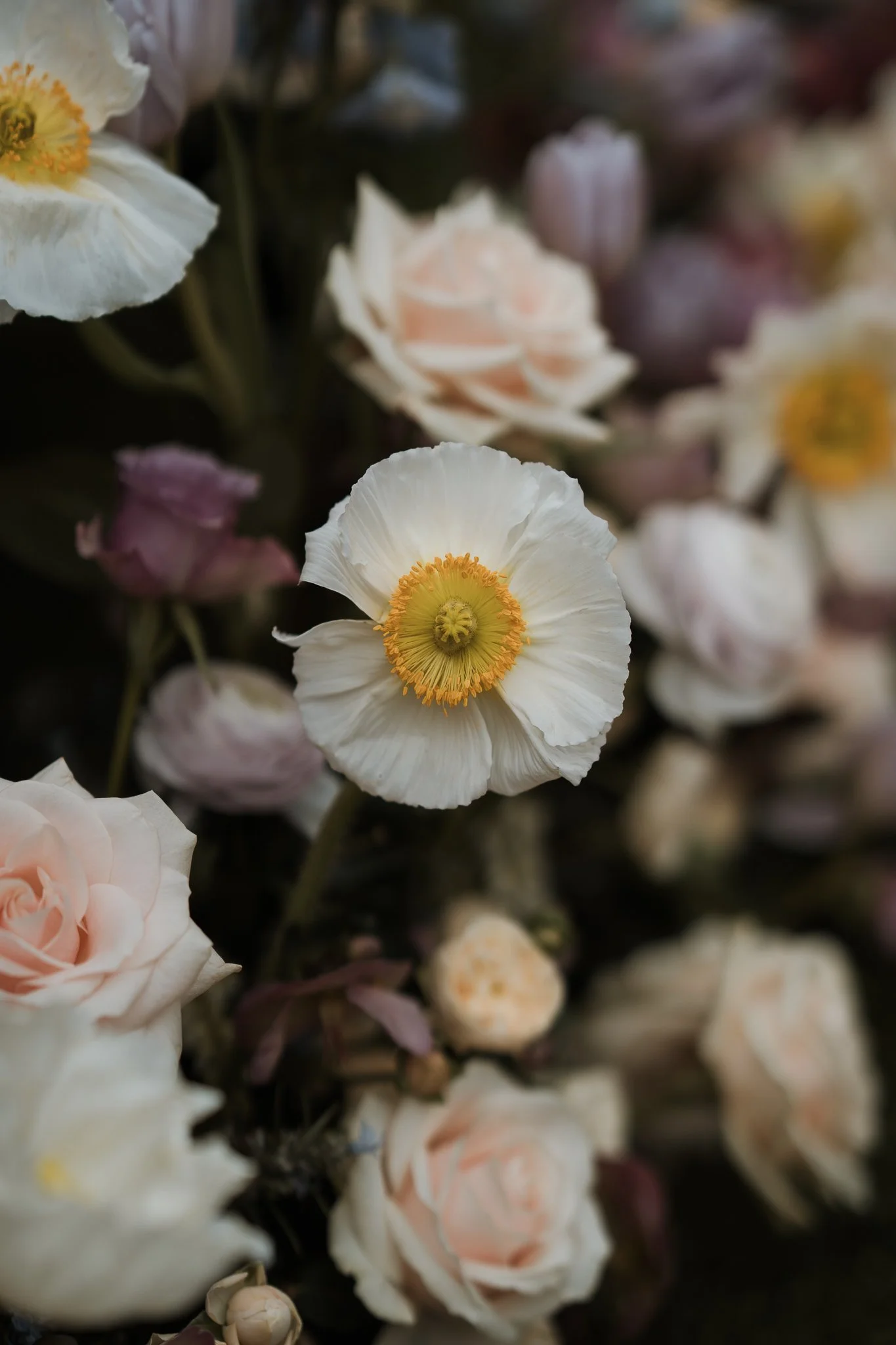 GENESISALVAREZPHOTOGRAPHY-632.jpg
