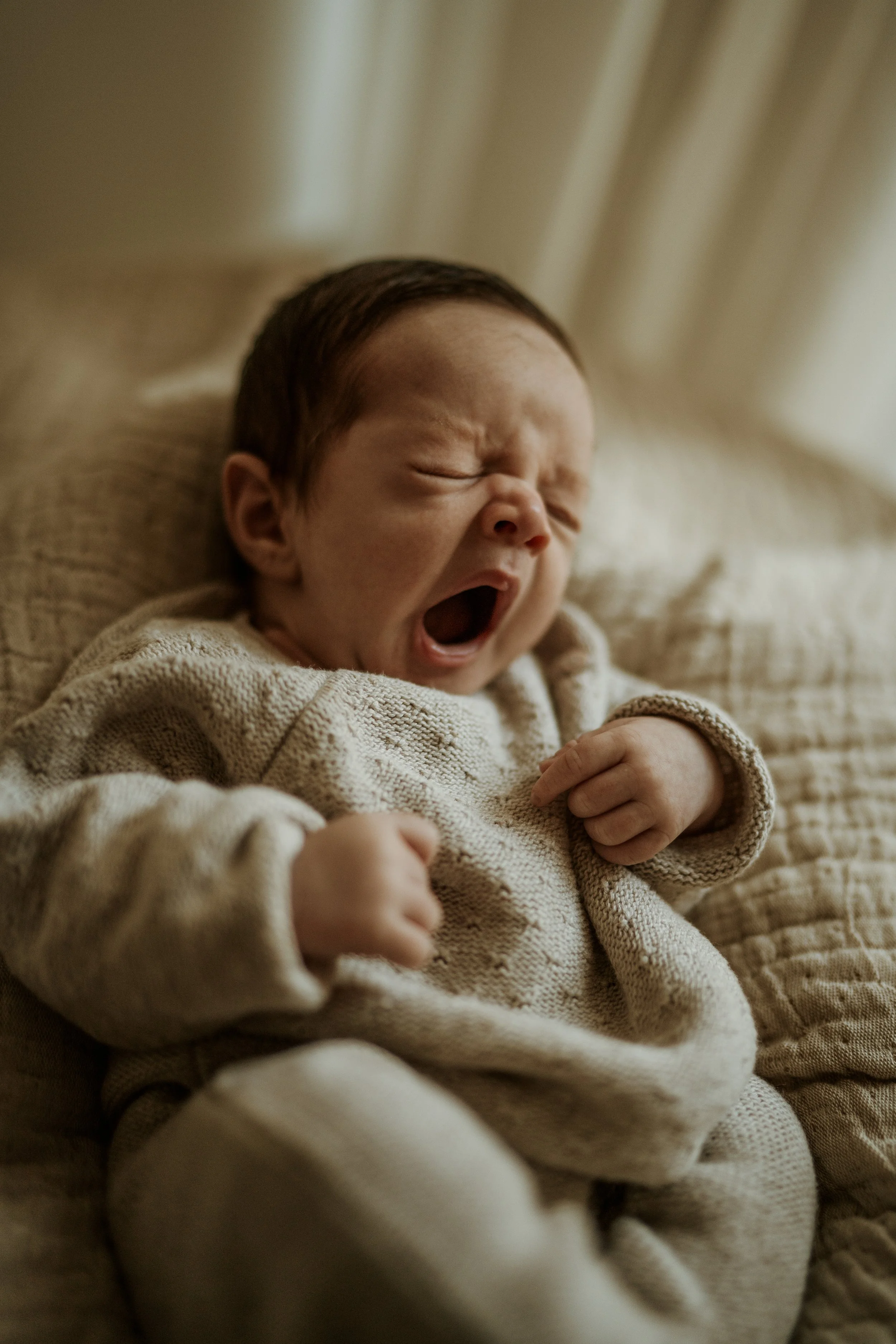 GenesisAlvarezPhotography 2.jpg