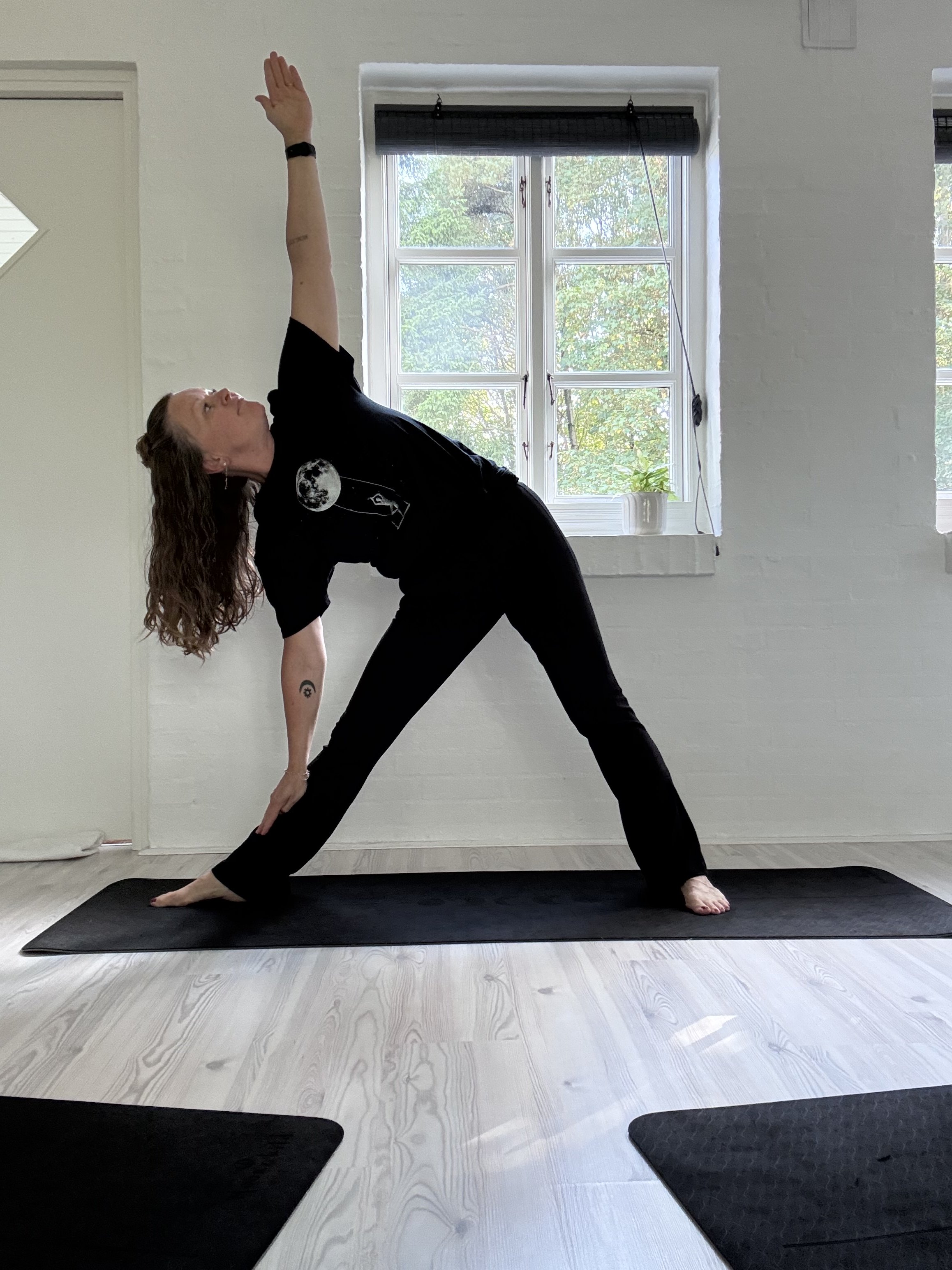 Trikonasana.jpeg