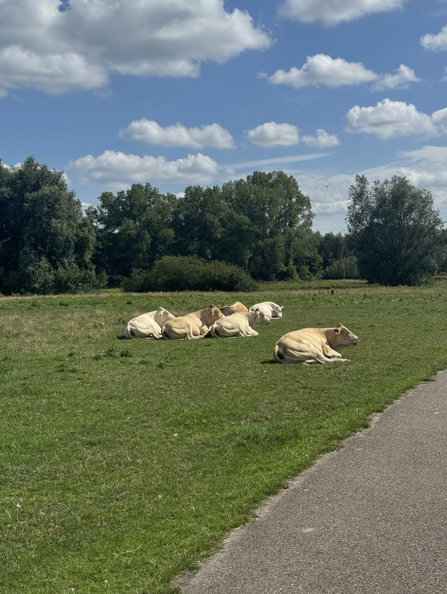 Markdal Breda Stay in Breda