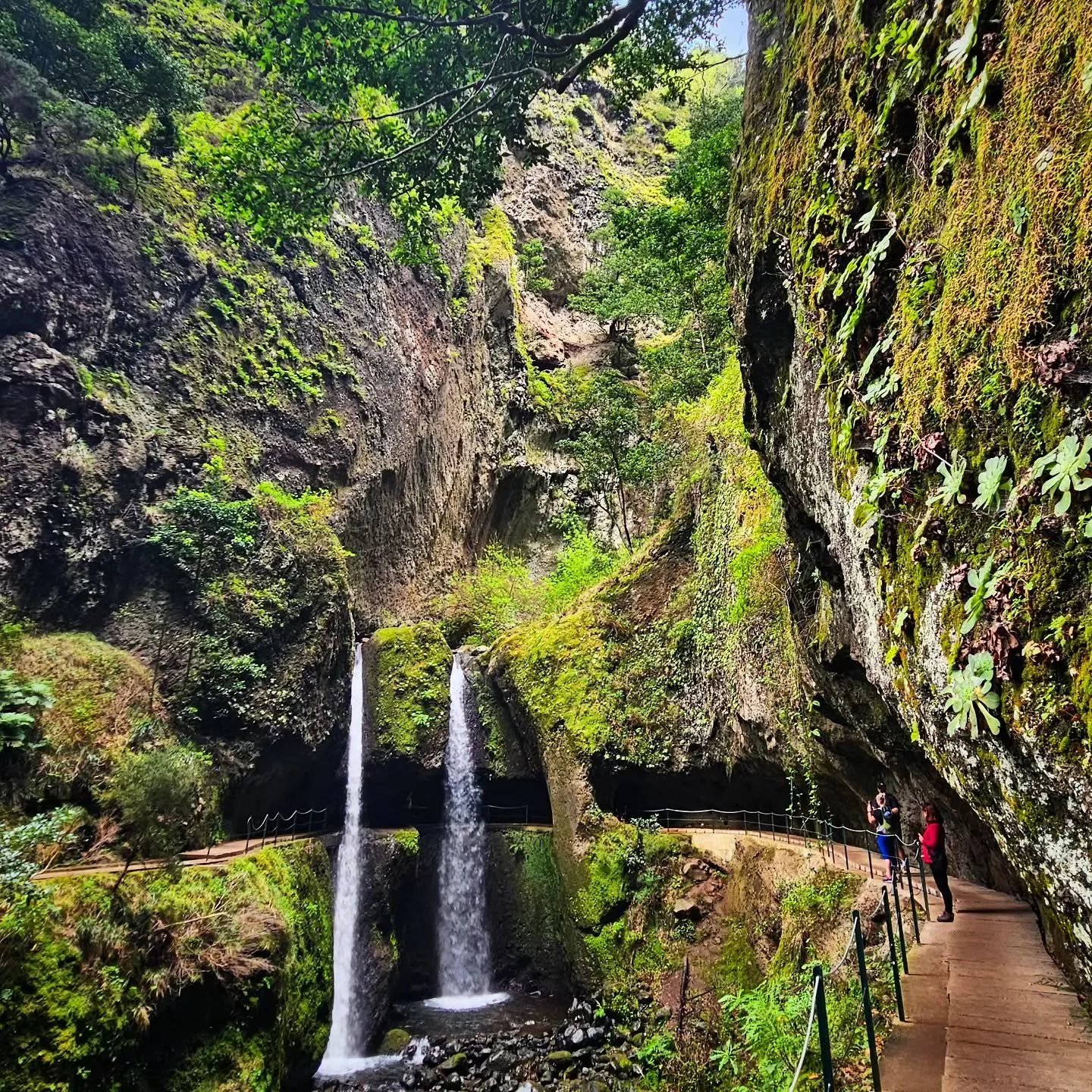 Lush valleys &amp; hidden waterfalls at the stunning Levada Nova! 

#seemadeira #levadanovapontadosol #pontadosol #madeiraisland #levada #levadawalks #beautifuldestinations #visitmadeira #ilhadamadeira #islandlife