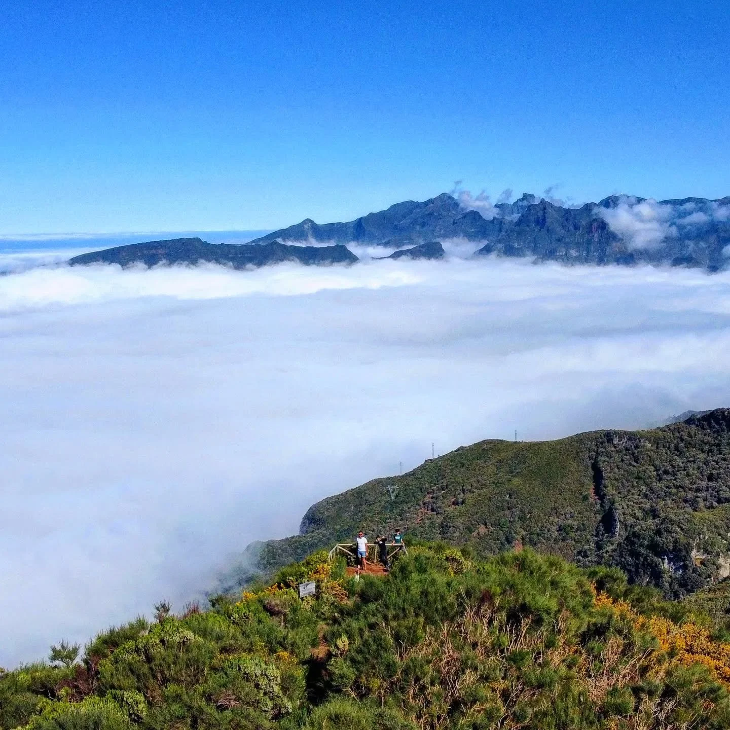 A Sea of clouds on top of Madeira Mountains PICO RUIVO DO PAUL 🩵 #seemadeira #picoruivodopaul  #clouds #landscape #landscapephotography #walk #nature #naturephotography #visitmadeira #visitportugal #dronephotography #madeiraisland #madeira #photooft