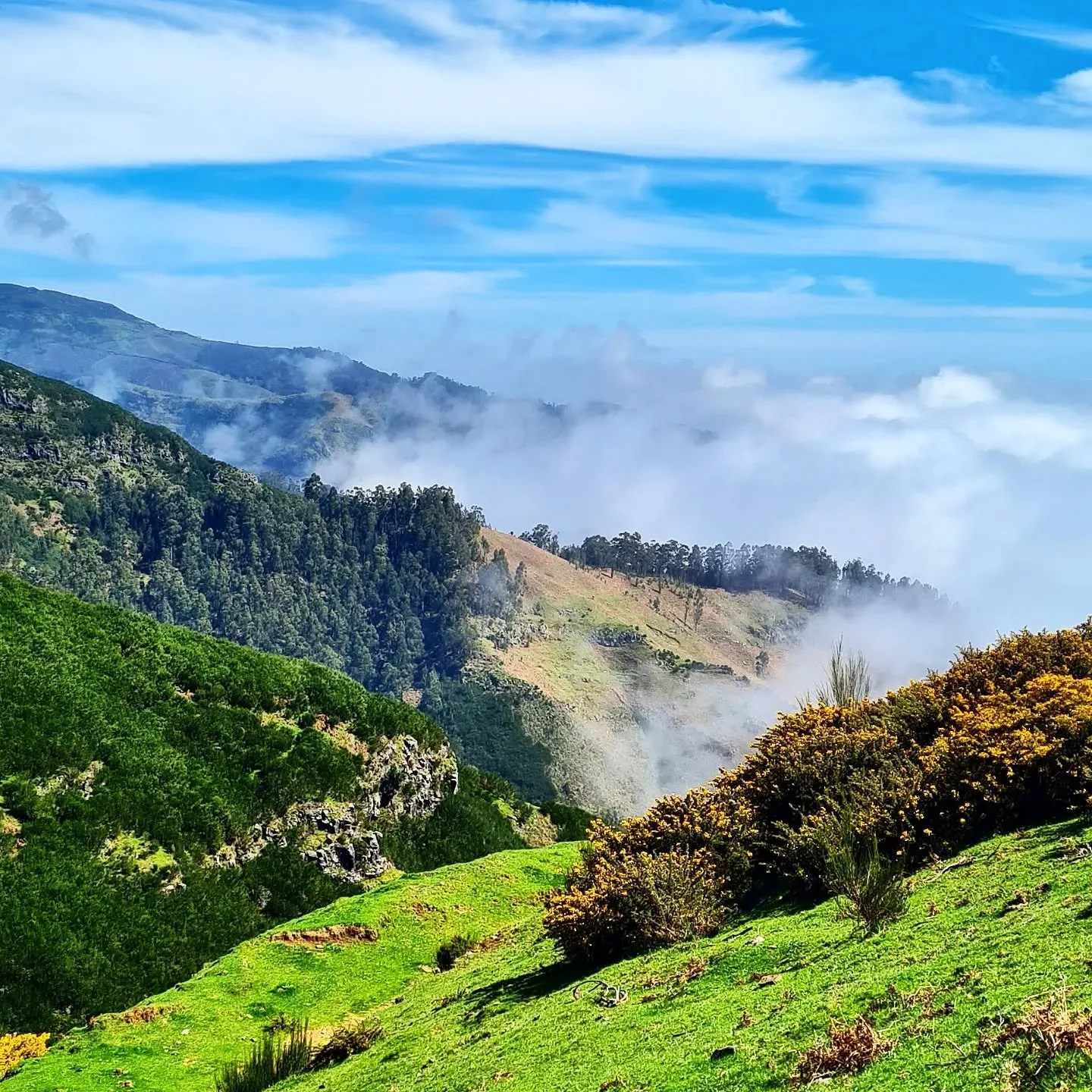 Today views from beautiful Madeira Mountains #mountains  #clouds #seemadeira #ilhadamadeiraportugual #madeiraallyear #visitmadeira #beautifuldestinations #visitportugal #portugal_places #portugallovers