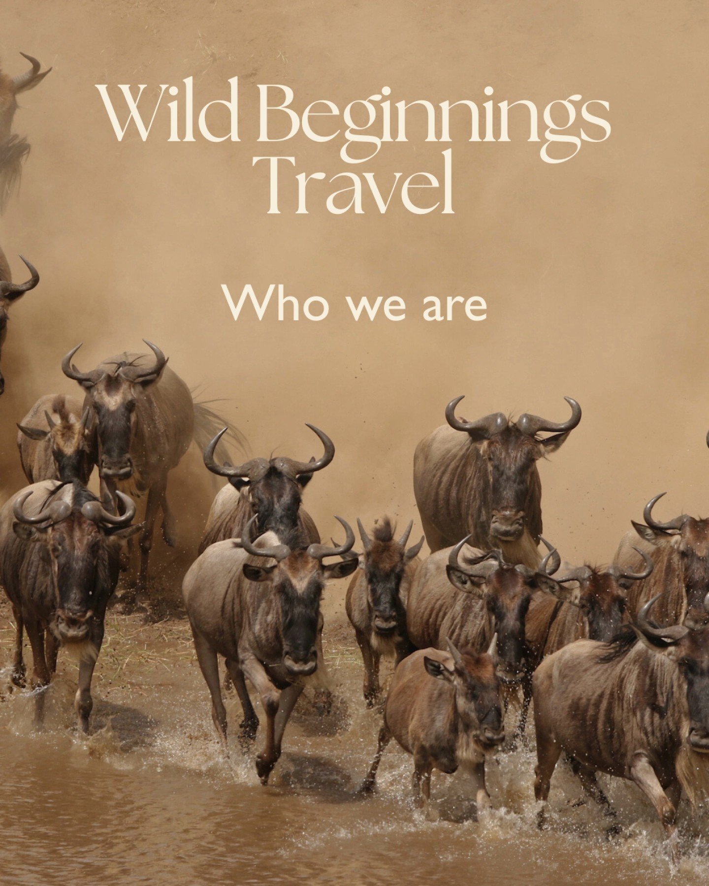 Wild Beginnings is for those who value detail, discretion, and experiences shaped with care.

We create highly curated, luxury journeys designed around you. Every decision is intentional, from the rhythm of the experience to the places you stay and t