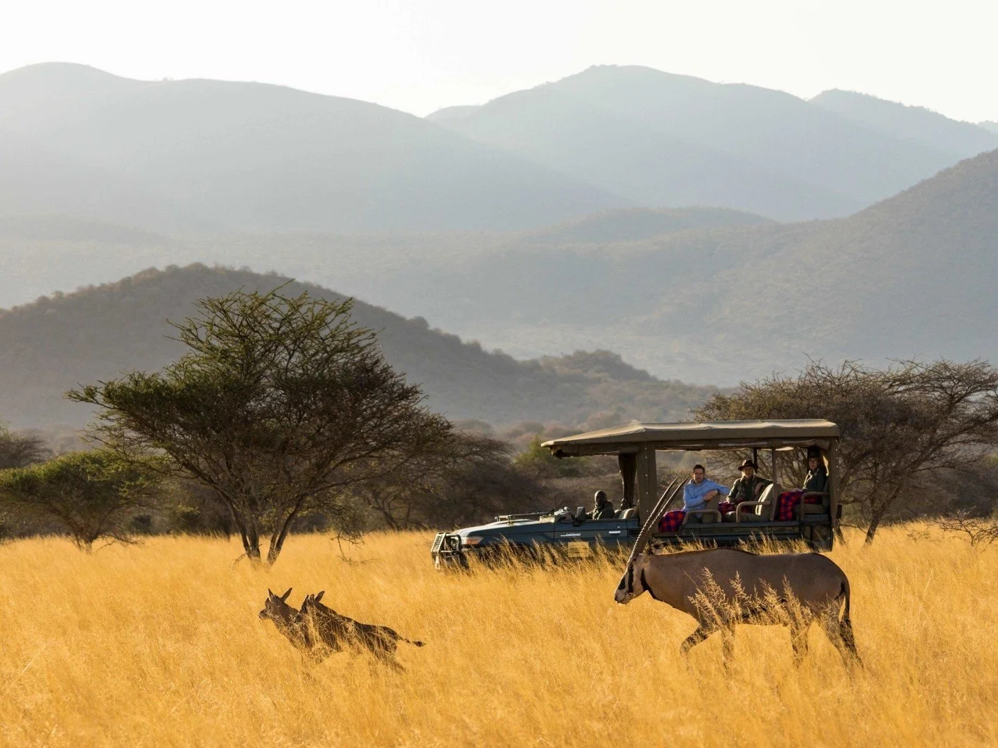 Rising between Tsavo National Park and Amboseli National Park, the Chyulu Hills are one of Kenya&rsquo;s most mysterious and enchanting landscapes. Rolling green volcanic hills stretch endlessly toward the horizon, ancient lava flows cut through the 