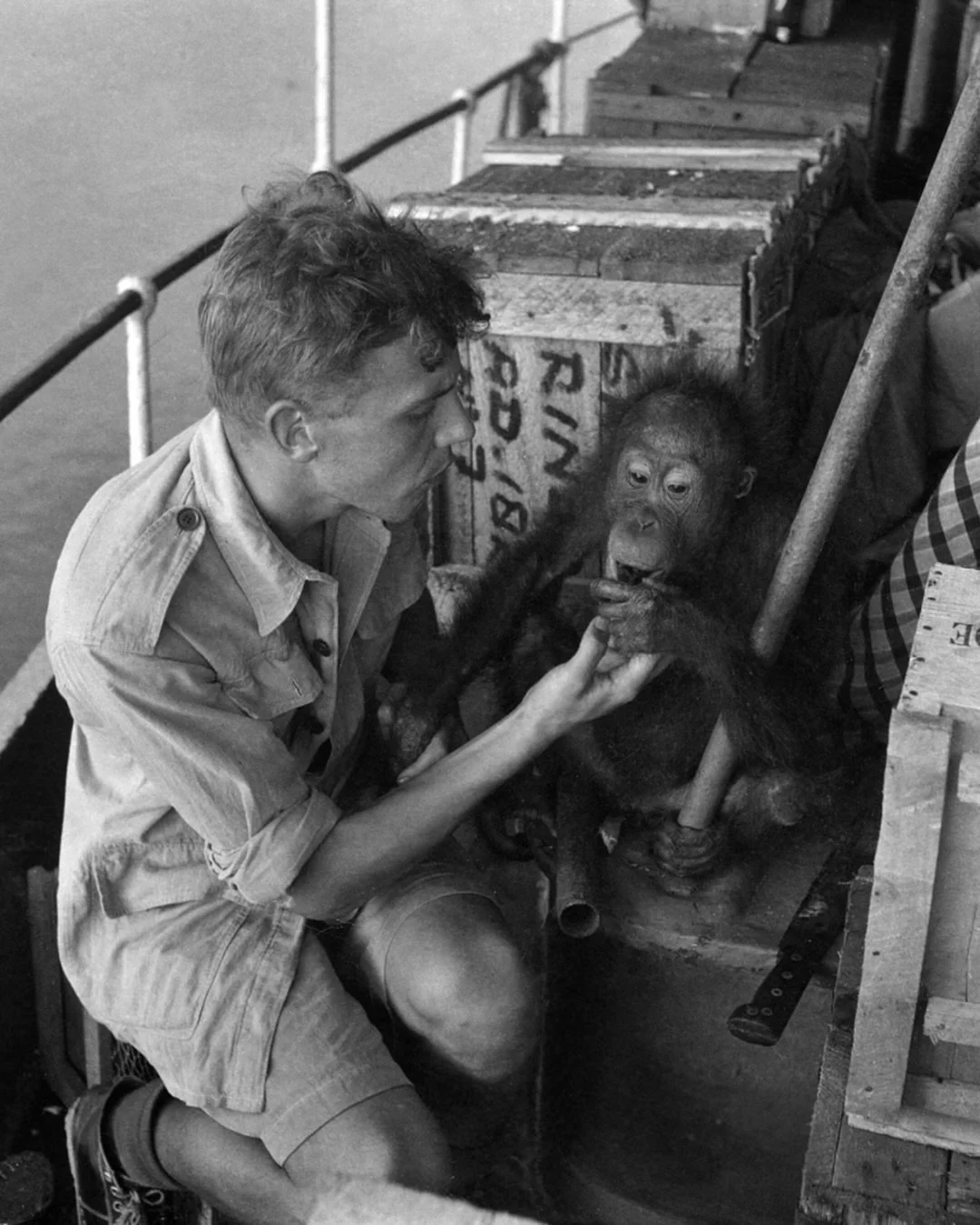 Celebrating Sir David Attenborough turning 100 last week and reflecting on how profoundly he has shaped the way generations of us see the natural world.

Watching his journeys through Borneo as a child sparked a fascination that stayed with me for ye