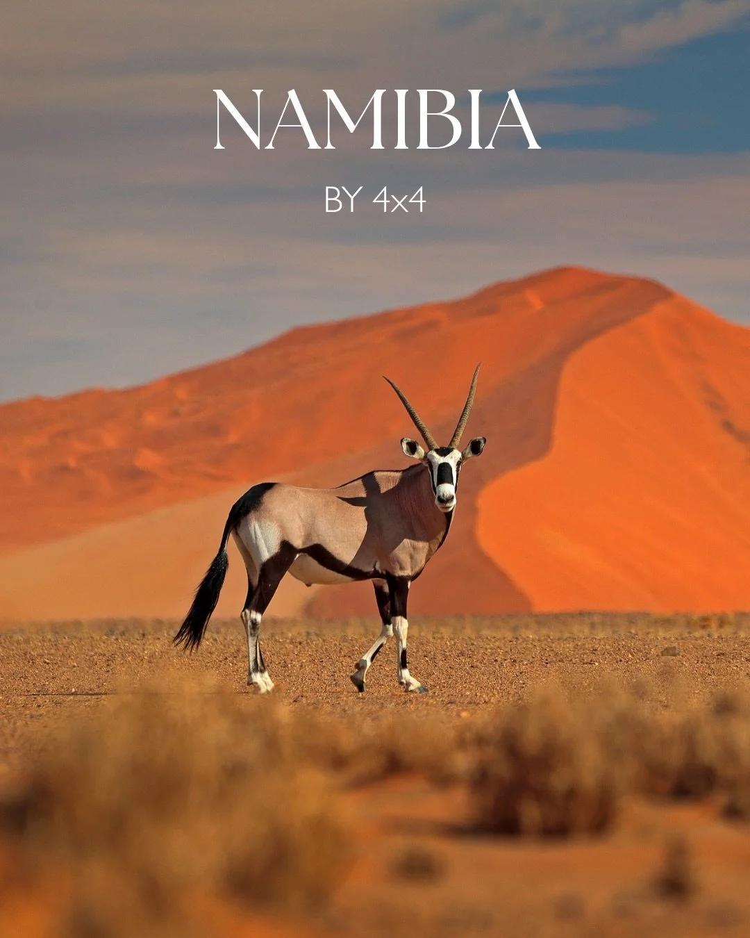 Namibia is not simply a self-drive destination. It is one of Africa&rsquo;s great road trips, vast, elemental, and deeply rewarding when planned with precision.

Across 10 days, this route moves through desert, coast, mountains, and wilderness: from 