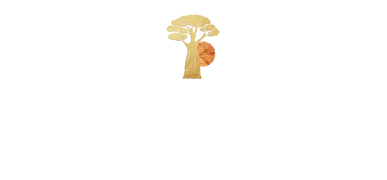 Wild Beginnings Travel