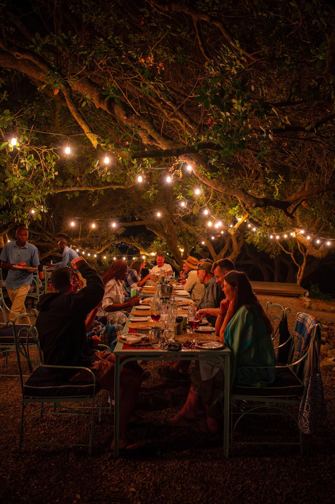 People dining outdoors at night under string lights in a garden or park setting.