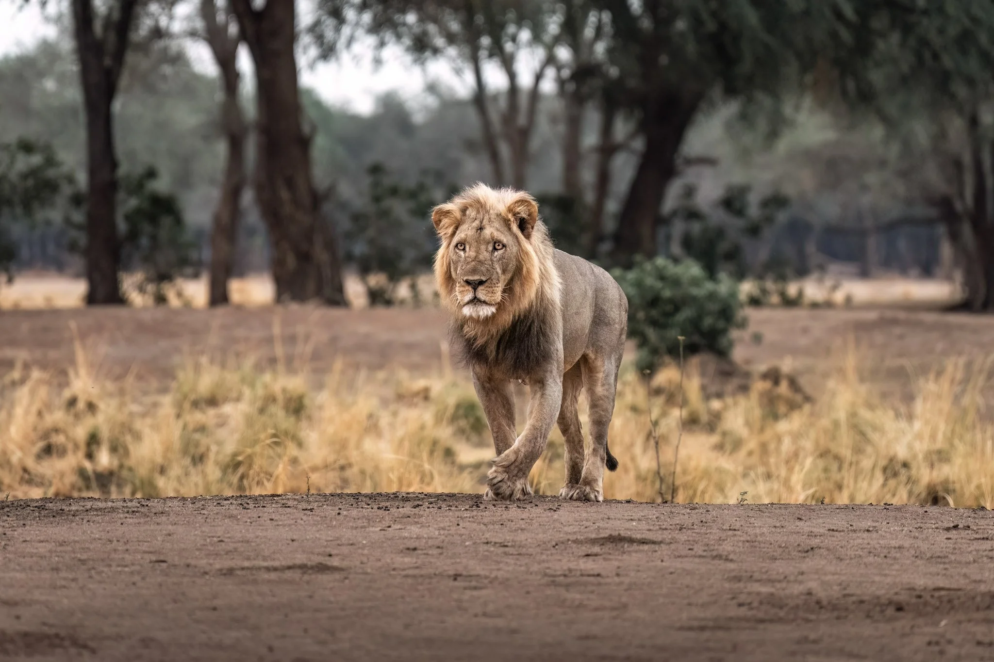 BESPOKE JOURNEYS FOR THE BOLD