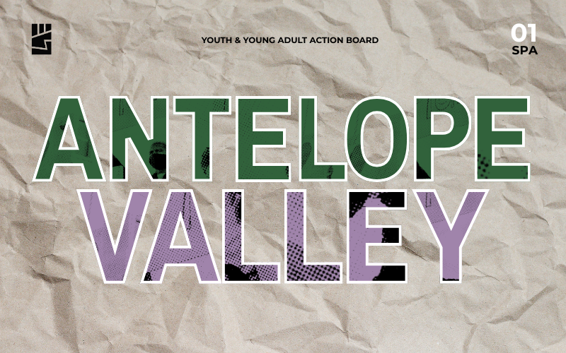 SPA 1 | Youth &amp; Young Adult Action Board