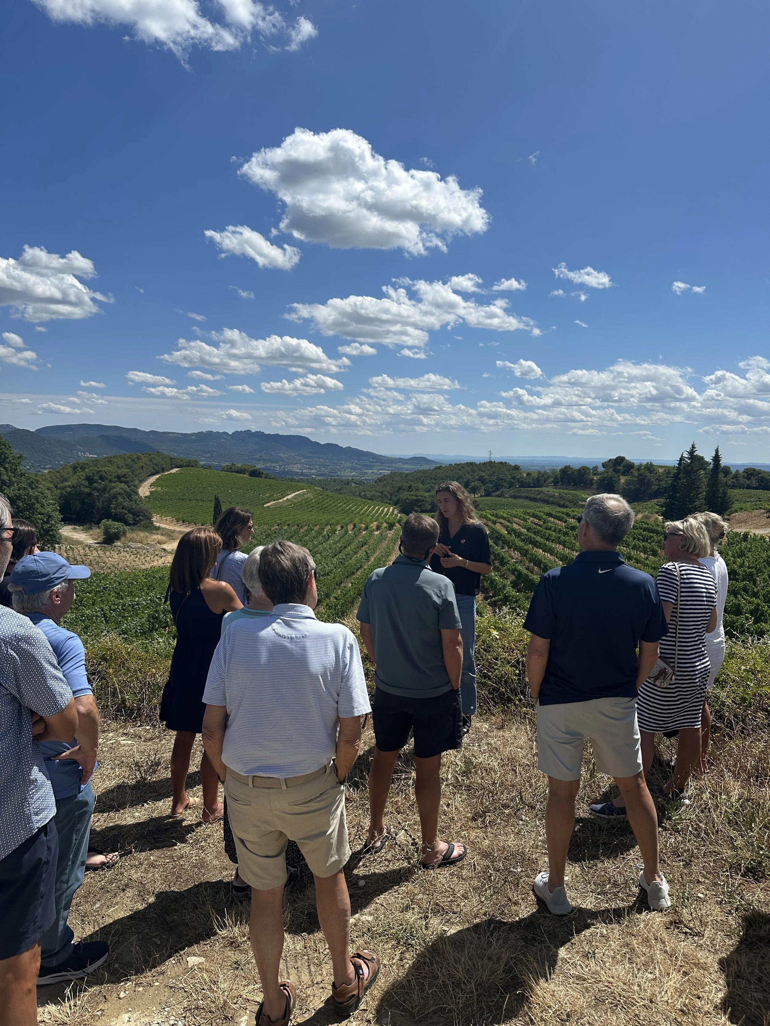 Group of people listening to a tour guide in a vineyard with rolling hills and a blue sky with clouds in the background.