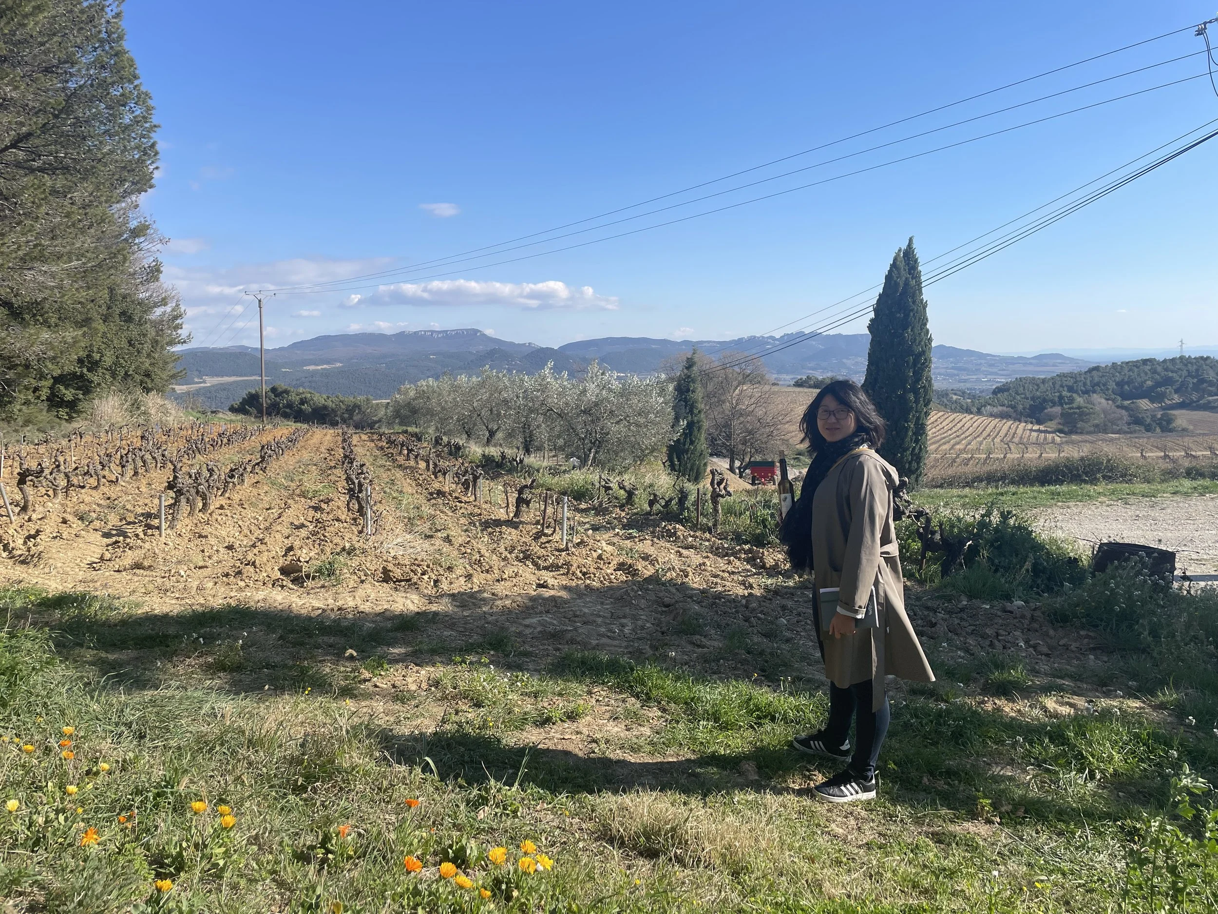 A woman with dark hair and glasses standing in a vineyard on a sunny day, holding a bottle and a glass, with rolling hills and mountains in the background.