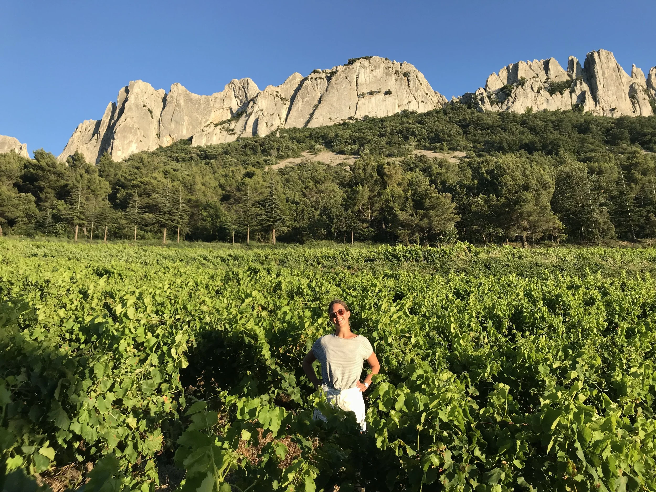 Woman standing in a vineyard with mountains and trees in the background on a sunny day.