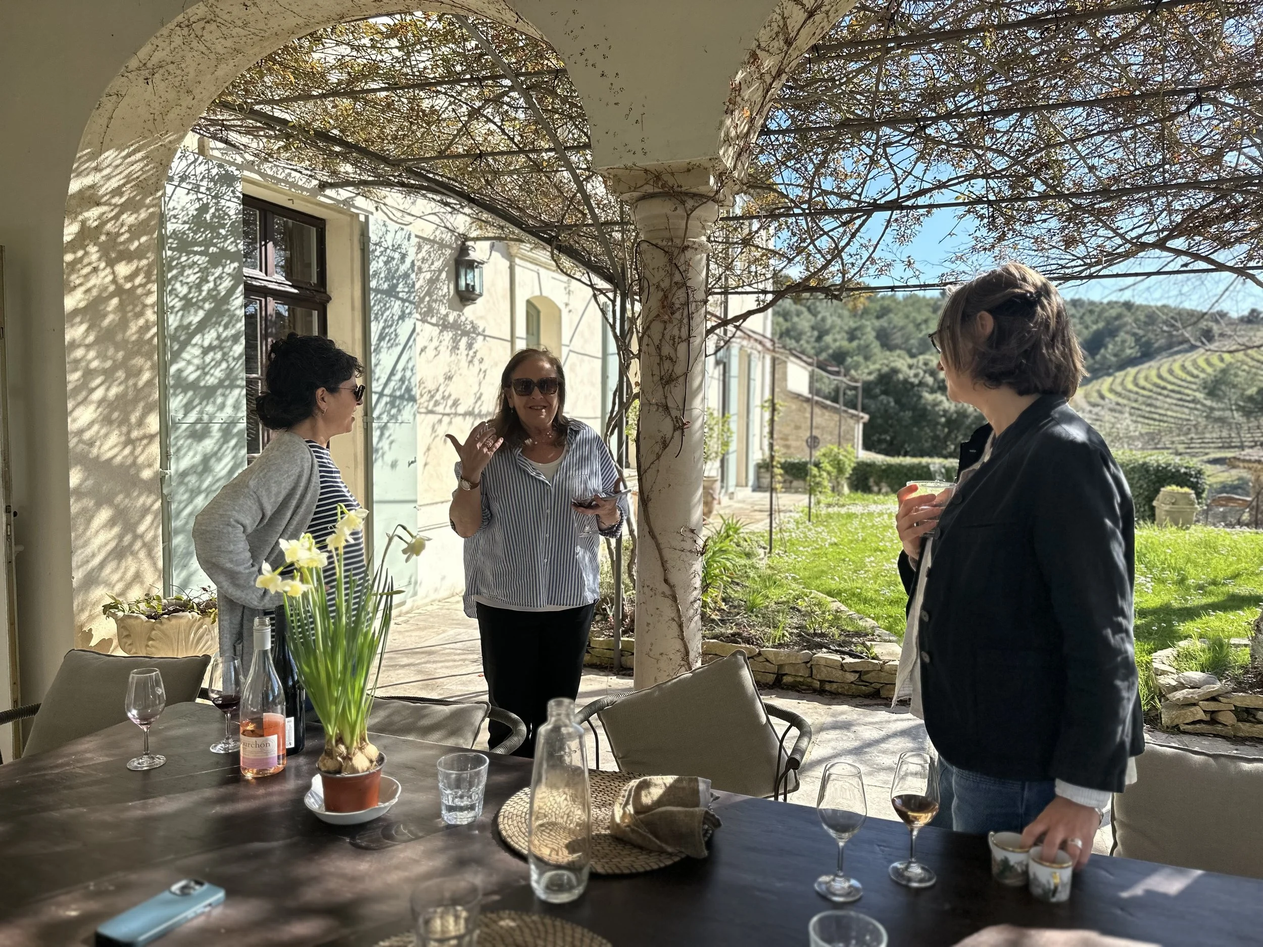 Four women having a conversation outdoors on a sunny patio with a green landscape in the background. The table has wine glasses, a water bottle, a potted plant, and other items.