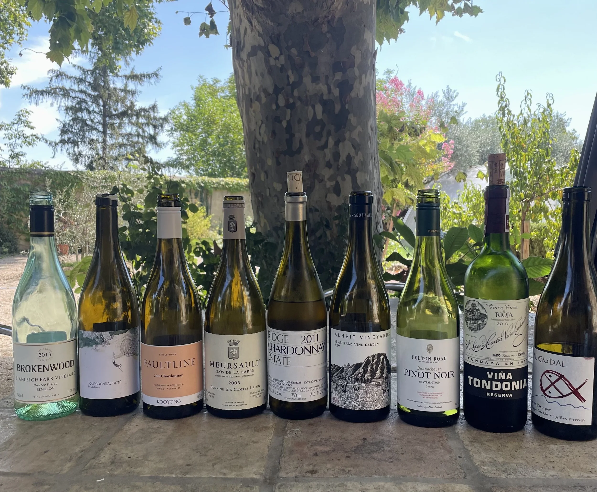 A row of nine wine bottles placed on a stone ledge outdoors, with a large tree and greenery in the background, sunlight filtering through the leaves.