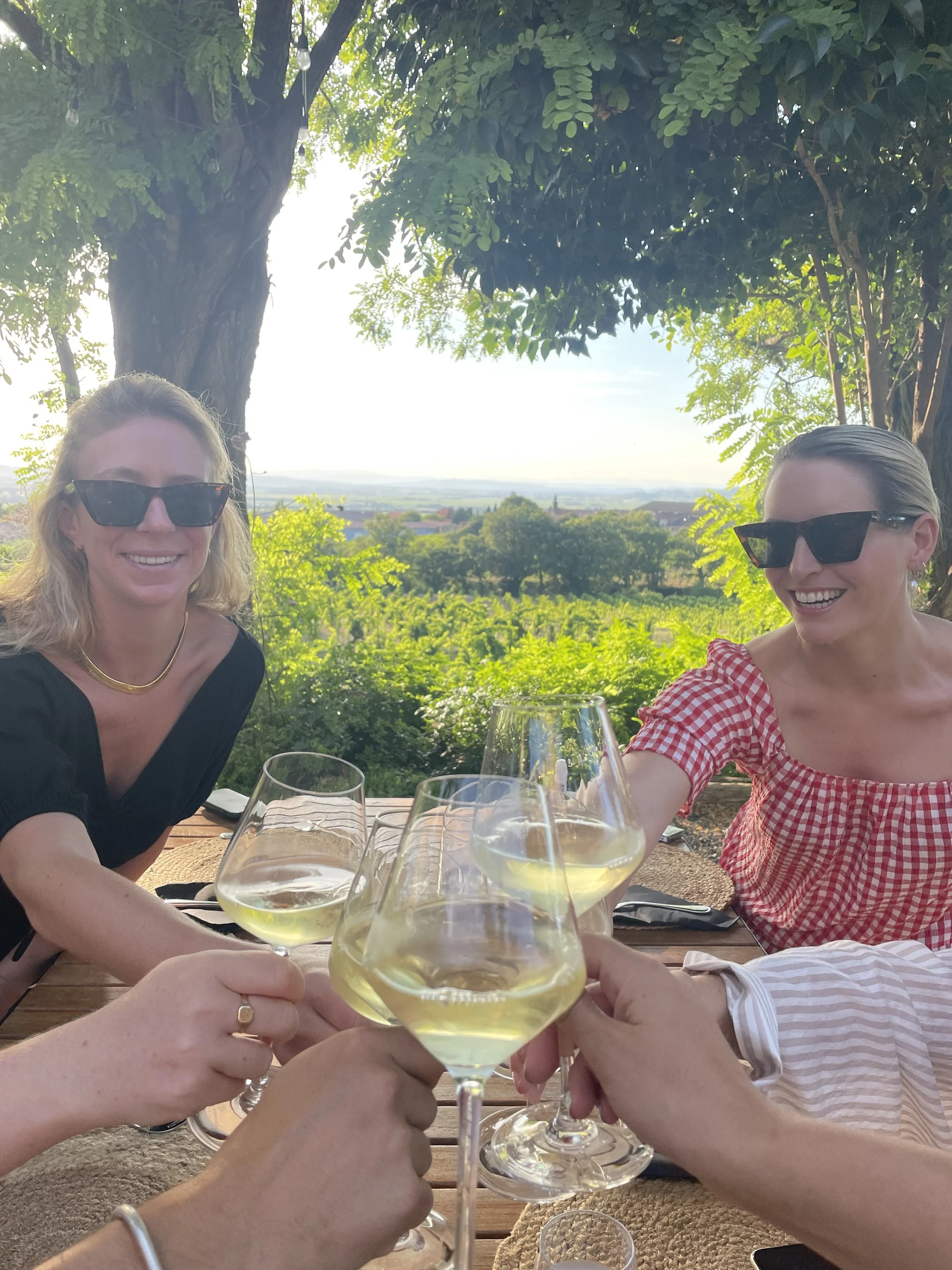 People making a toast with white wine glasses while sitting outdoors at a table under trees with a scenic landscape in the background.
