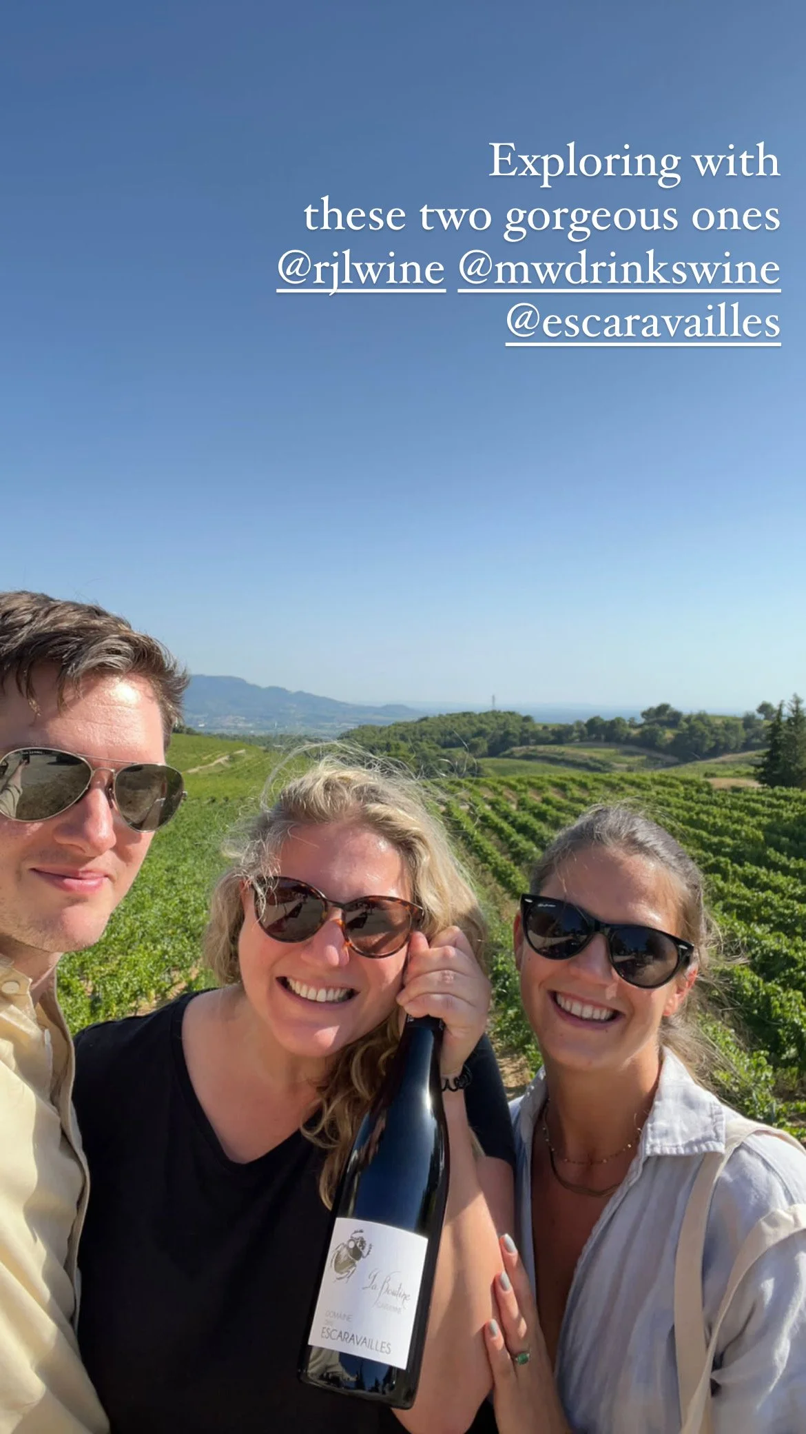 Three women and one man smiling outdoors with a vineyard in the background, holding a bottle of wine and wearing sunglasses.
