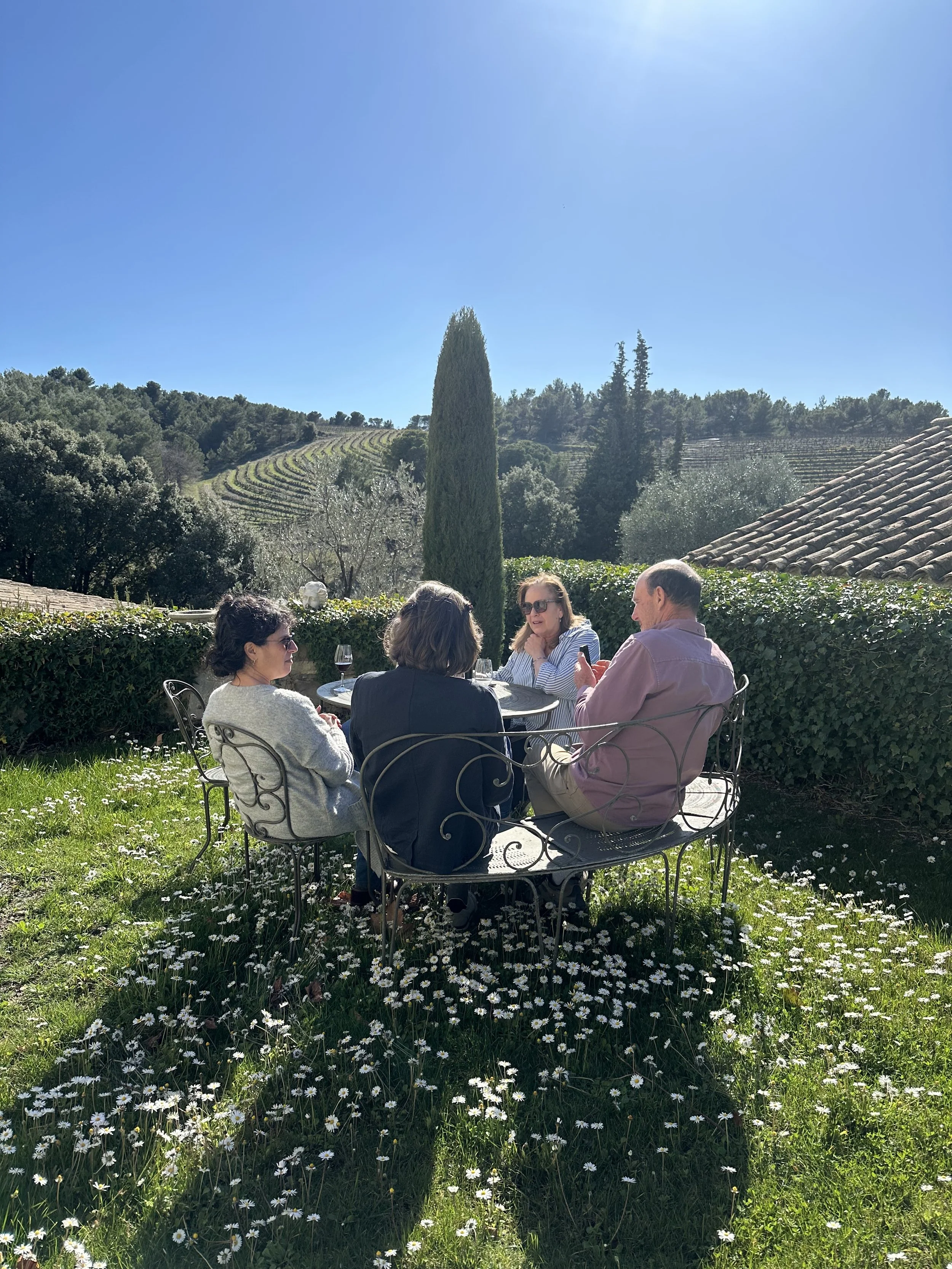 Four people sitting around a black wrought iron table outdoors on a sunny day, in a garden with green grass, white daisies, hedges, and trees in the background.