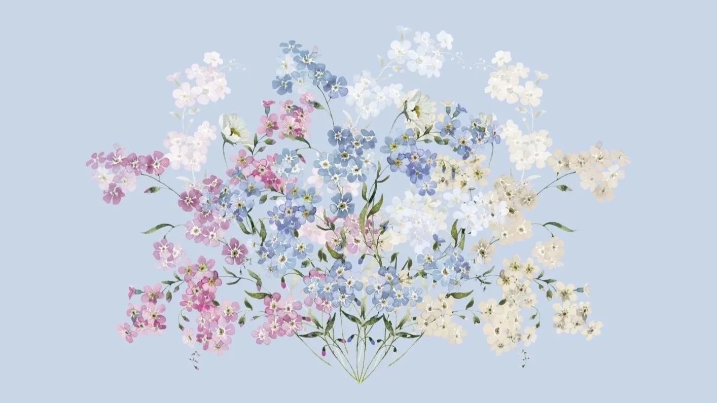 Bluebell%2B-%2BA5%2BCard.jpg (Copy) (Copy) (Copy) (Copy) (Copy) (Copy) (Copy) (Copy) (Copy) (Copy) (Copy) (Copy) (Copy)