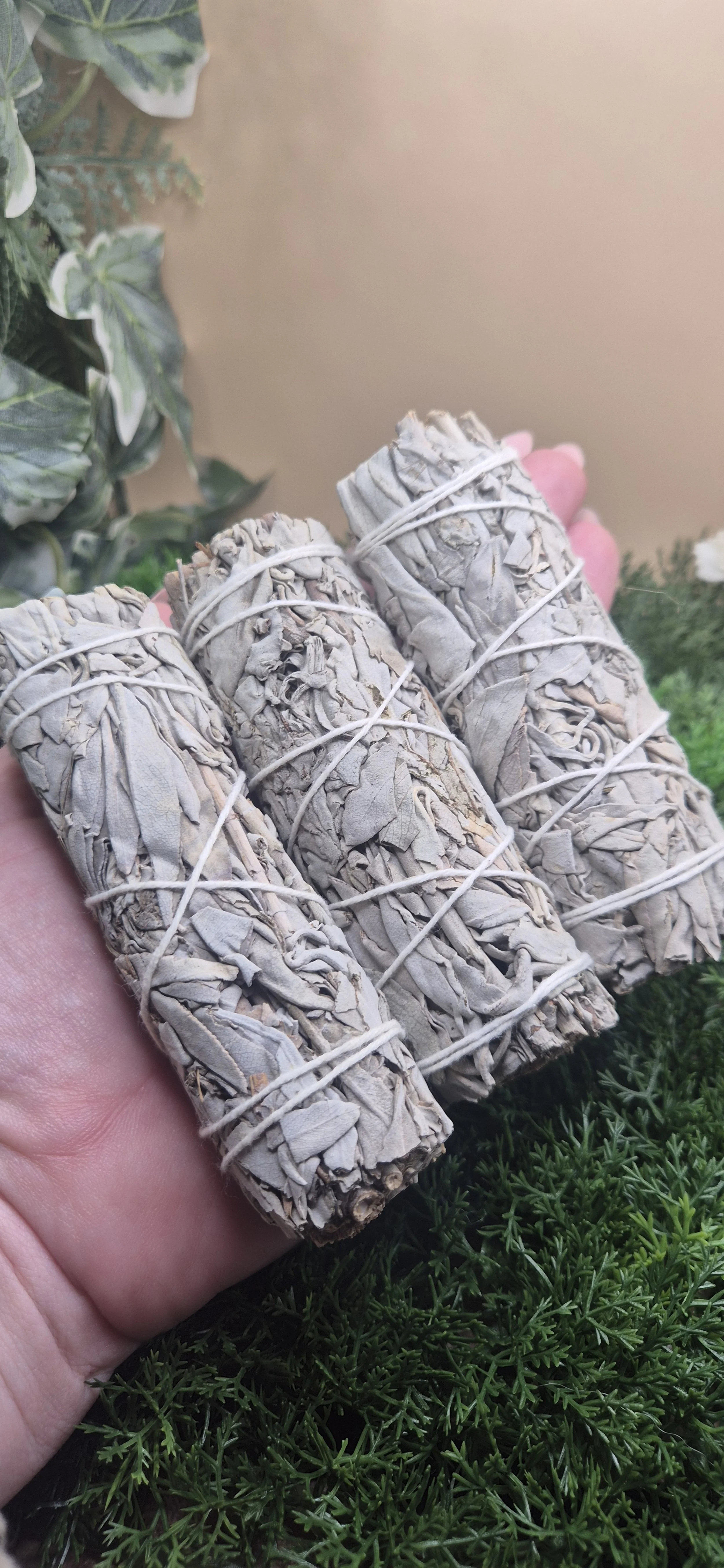 White Sage Smudge Stick