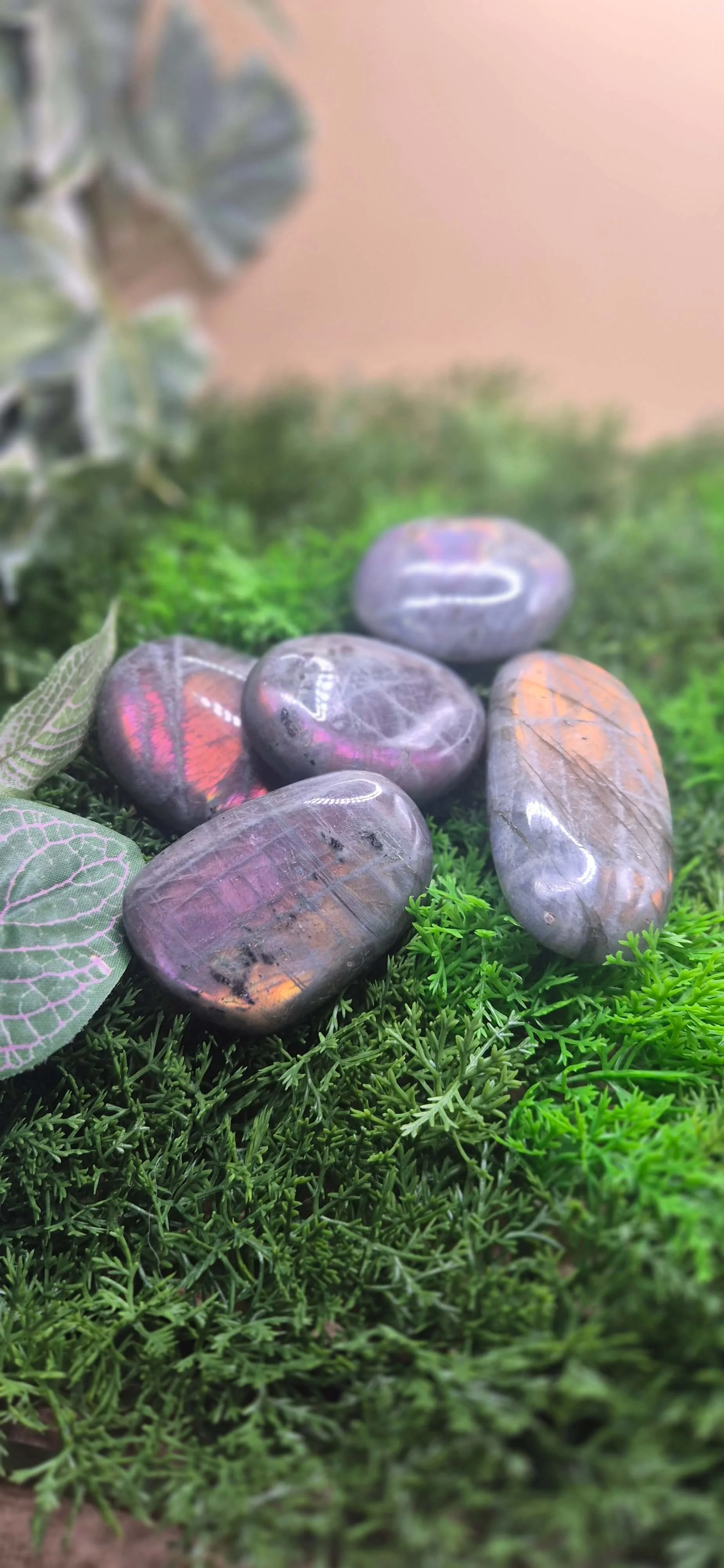 🌈 FLASH FAVOURITE – Labradorite Palm Stone