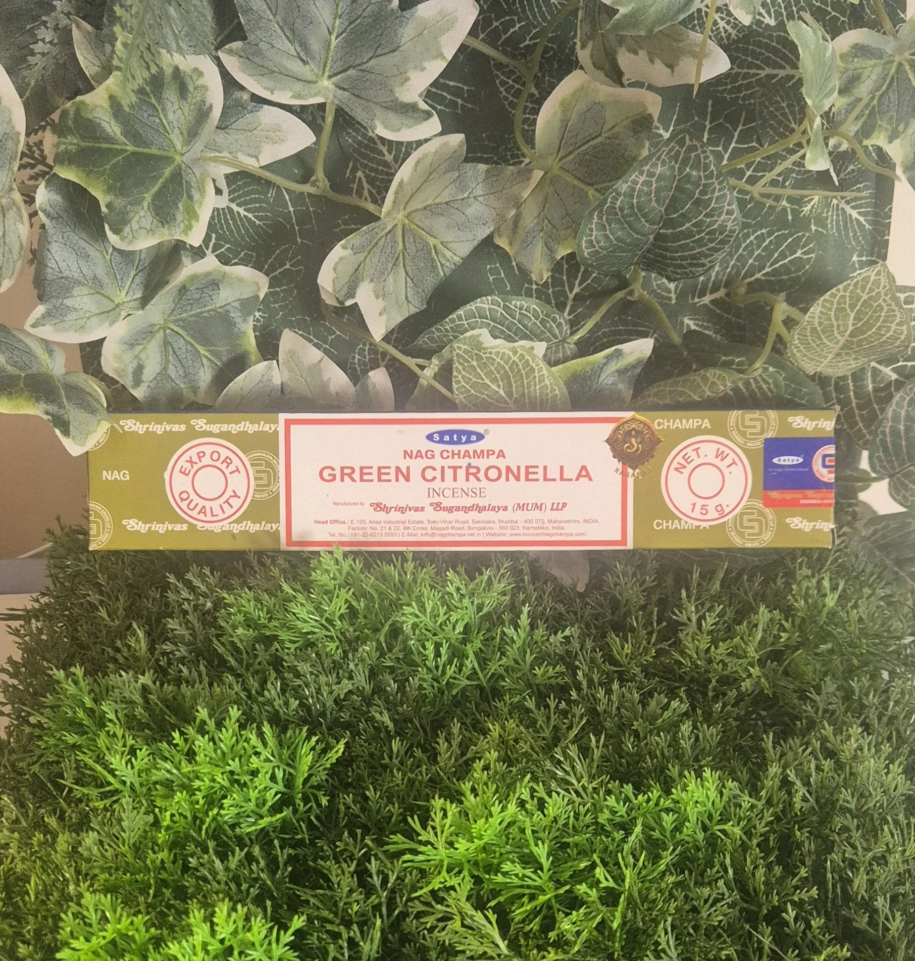 🌿 Green Citronella Incense Sticks