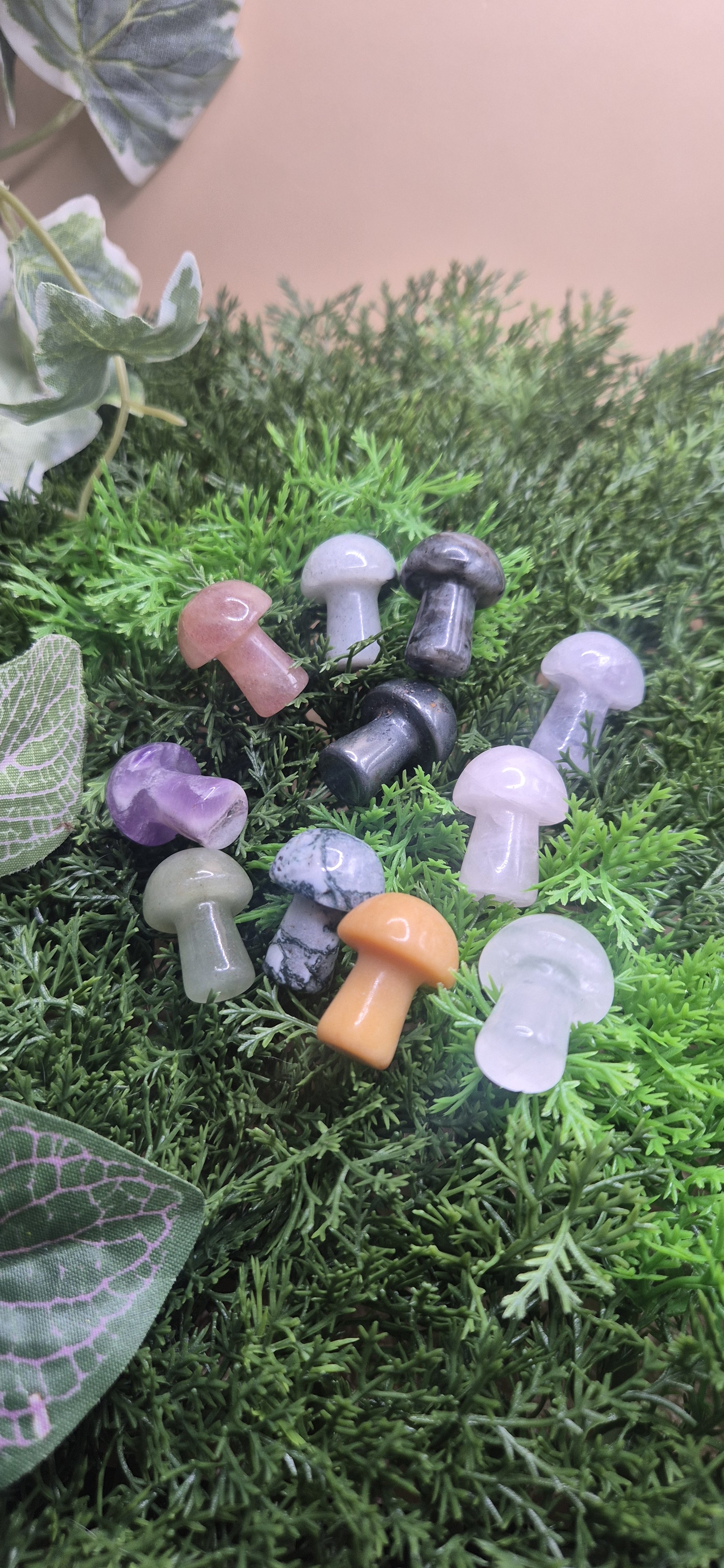 Mystery Mini Mushrooms