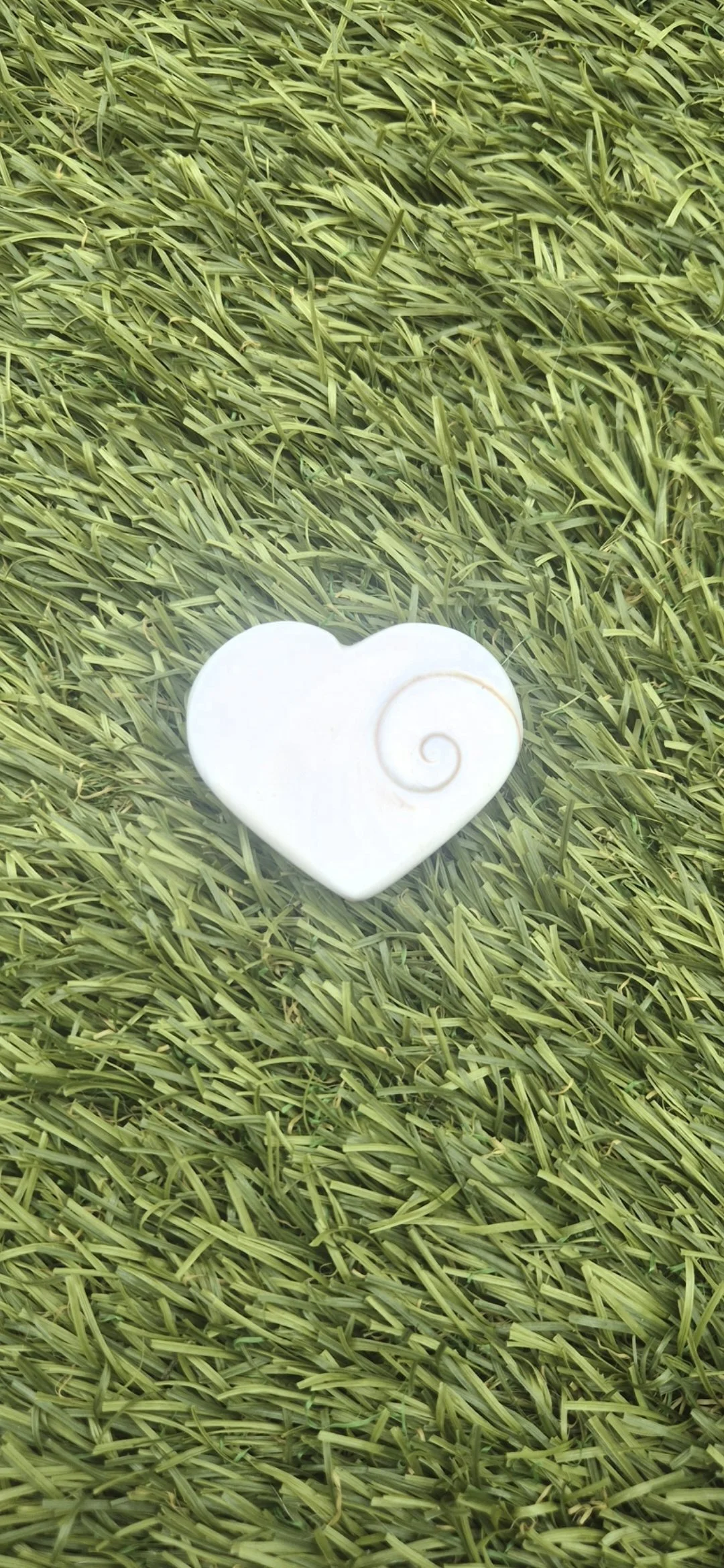 💖 Shiva Eye Shell Heart (4cm | 27g)