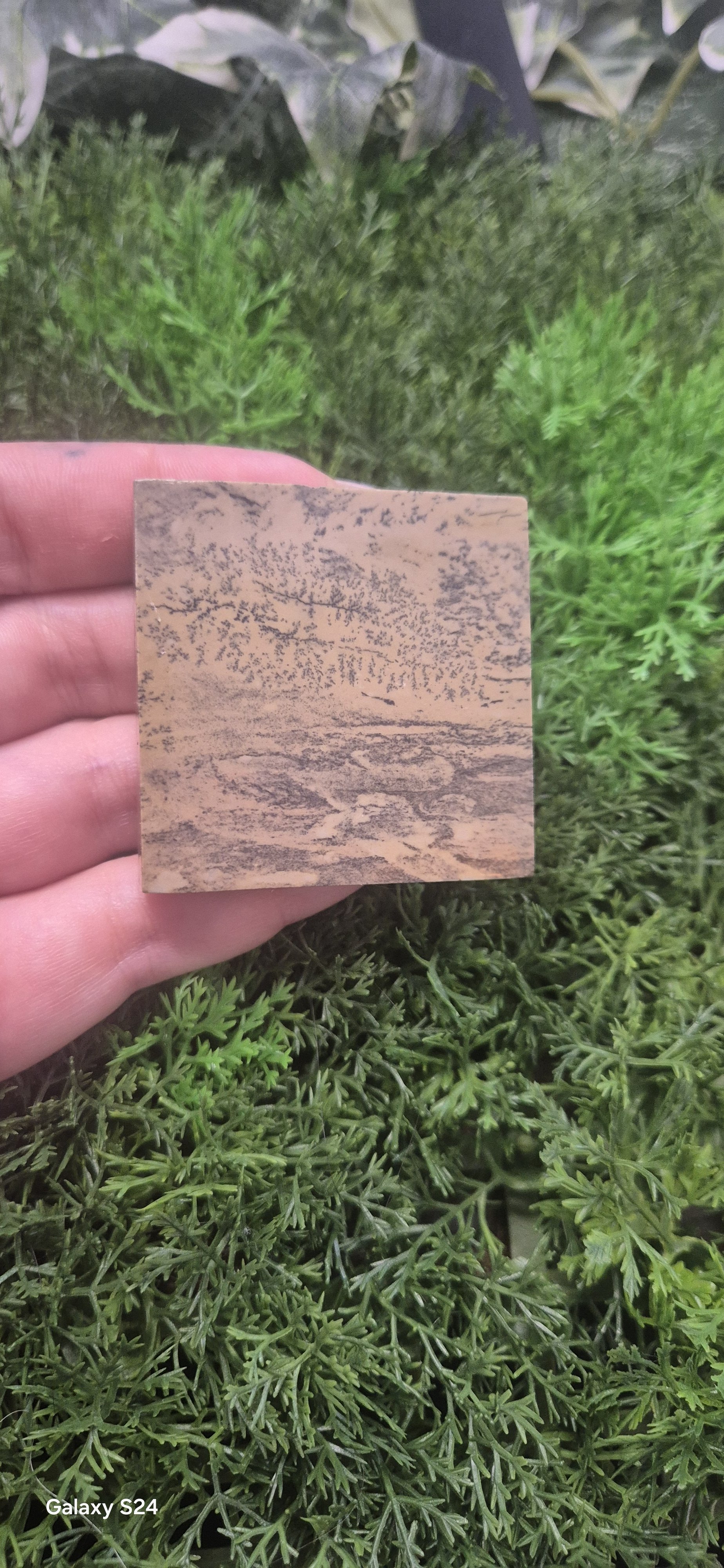 Earthy Dendritic Jasper Slab