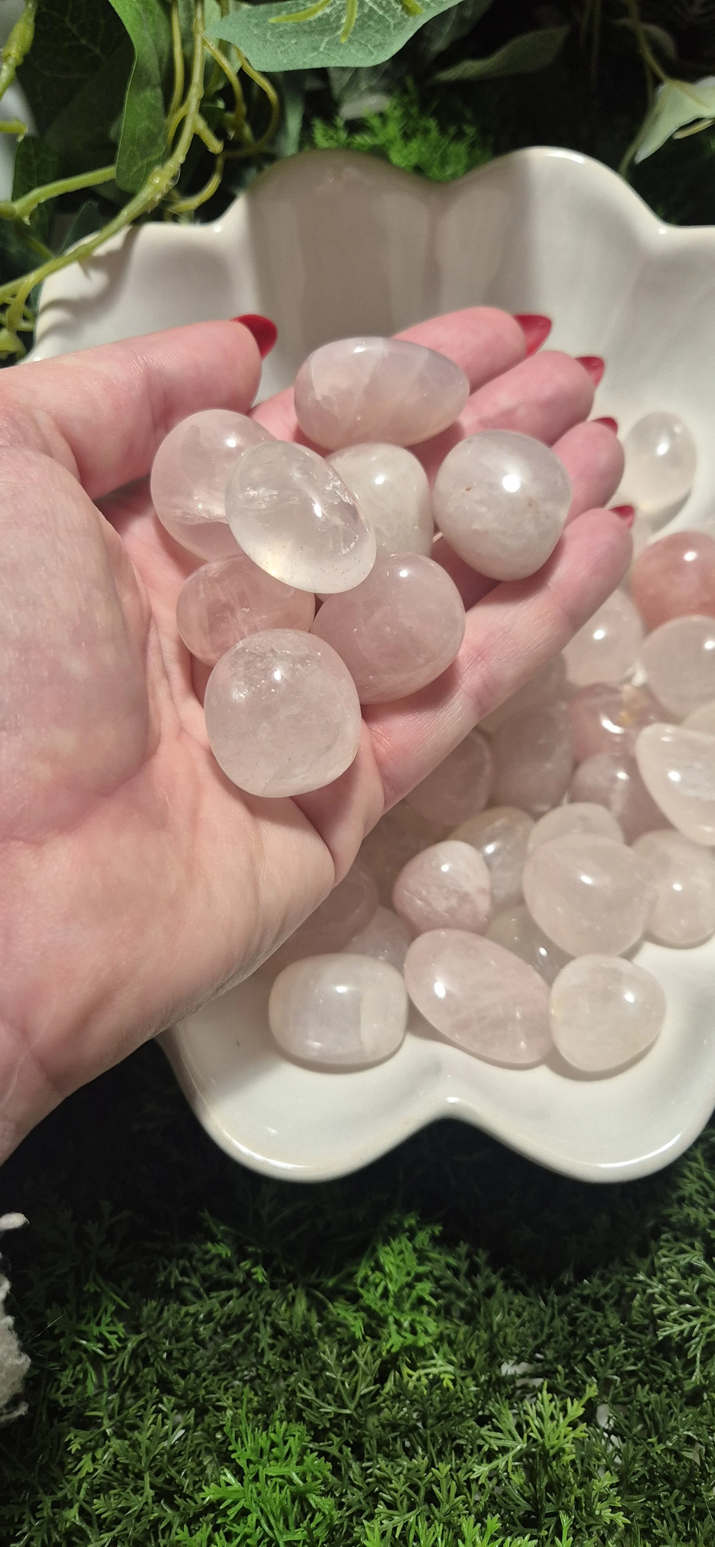 20260120_163006 (1).jpg