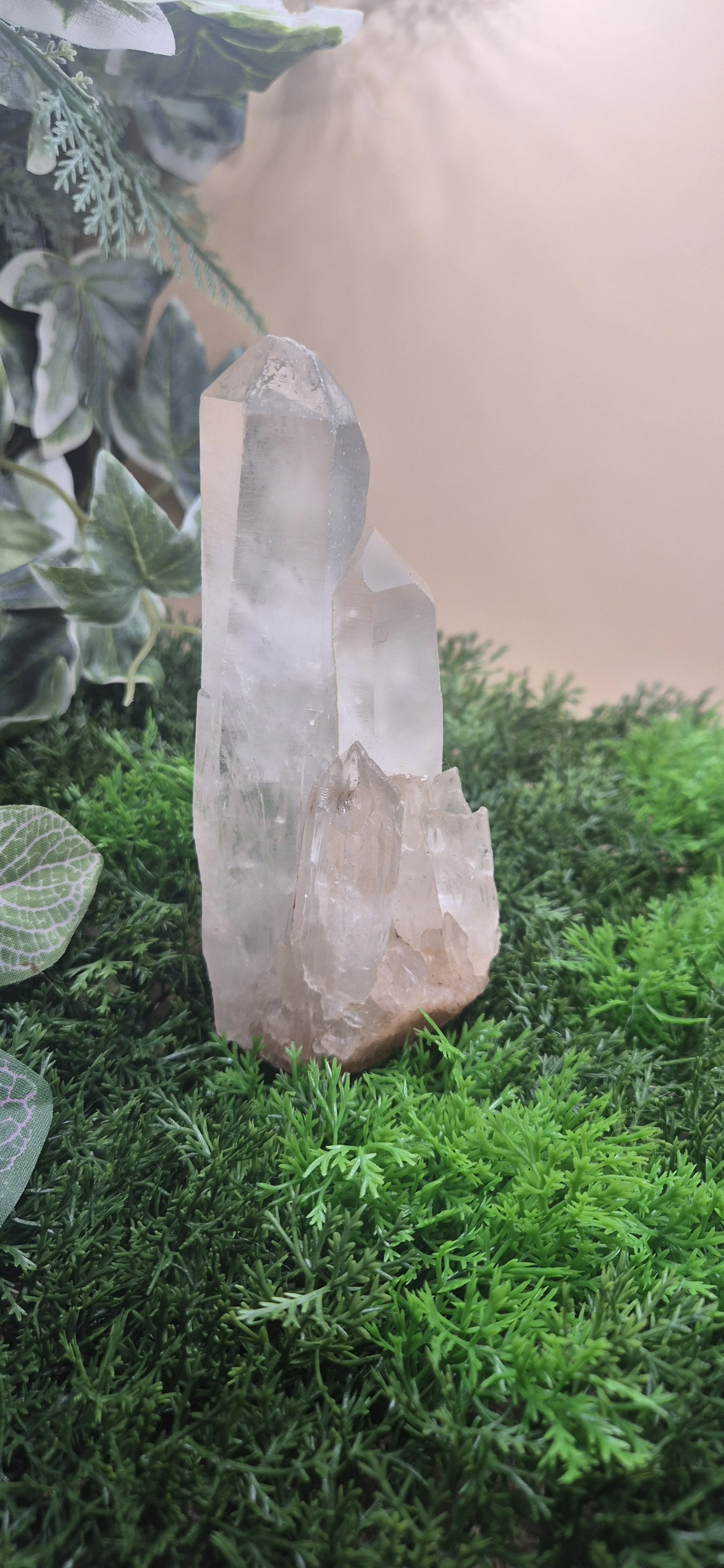 Himalayan Quartz Cluster