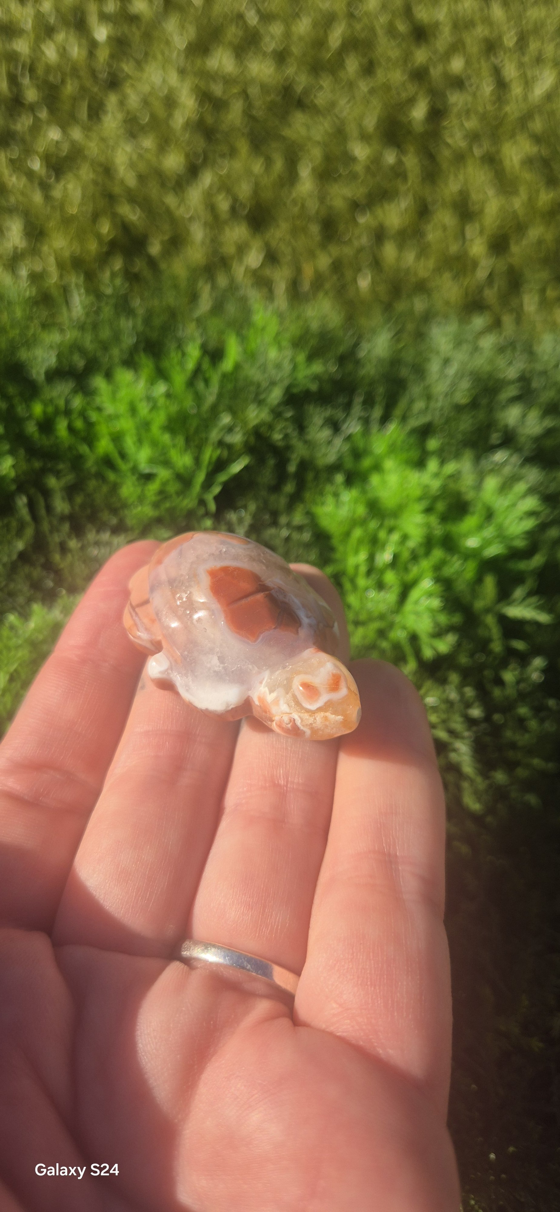 Mexican Lace Agate Turtle Carving