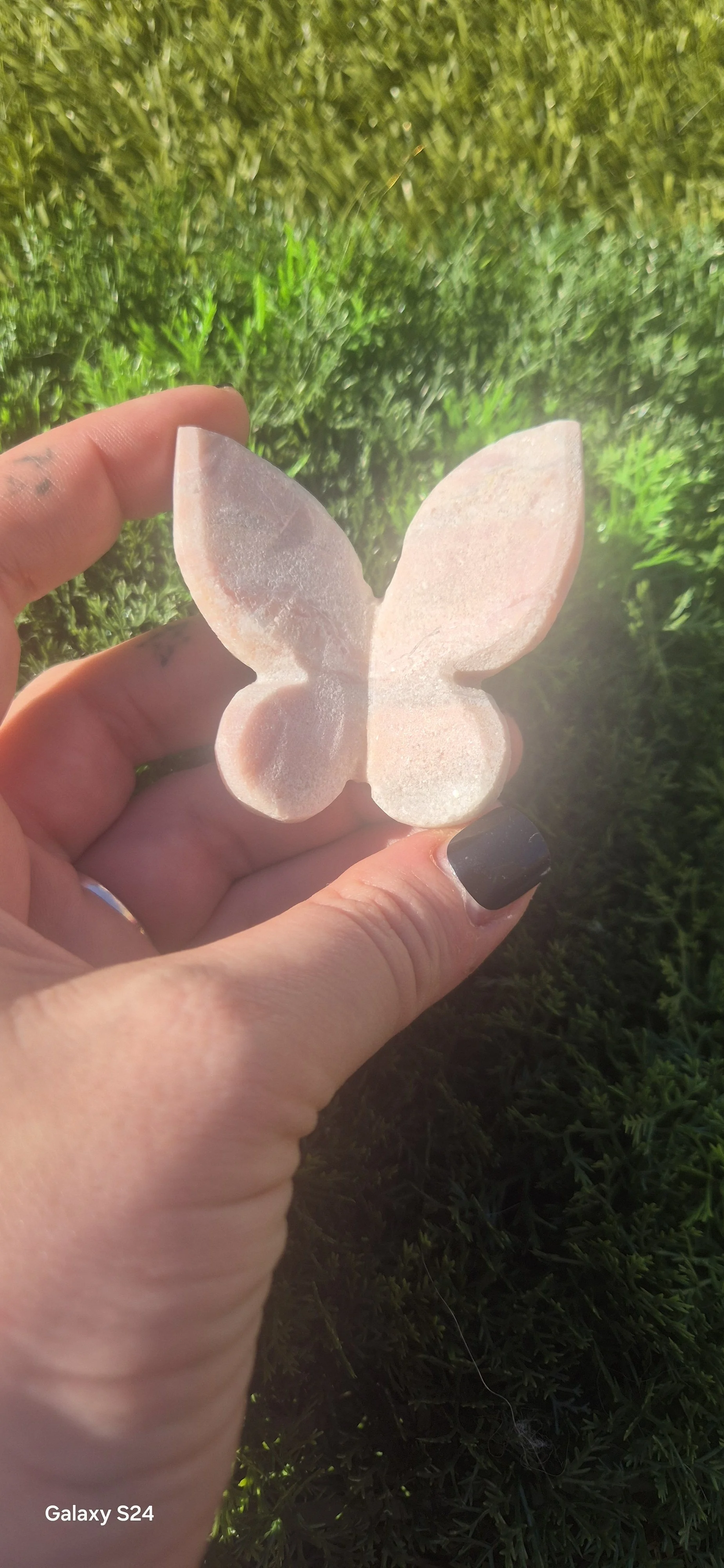 Pink Opal Butterfly
