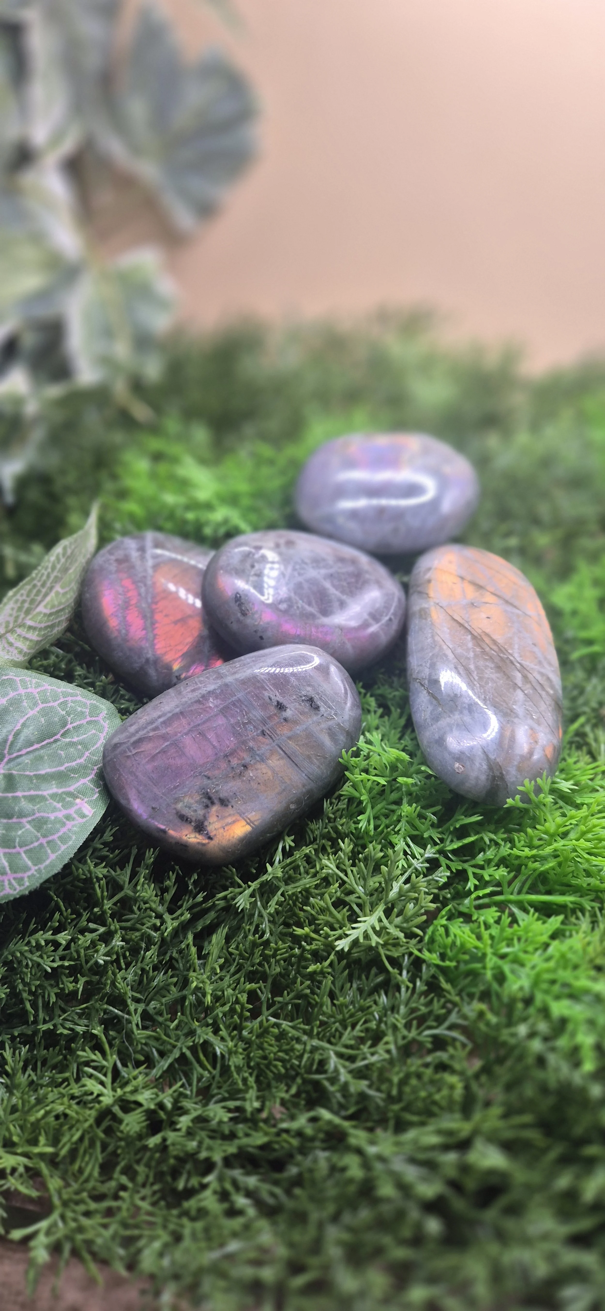 Labradorite Flashy Palm Stone