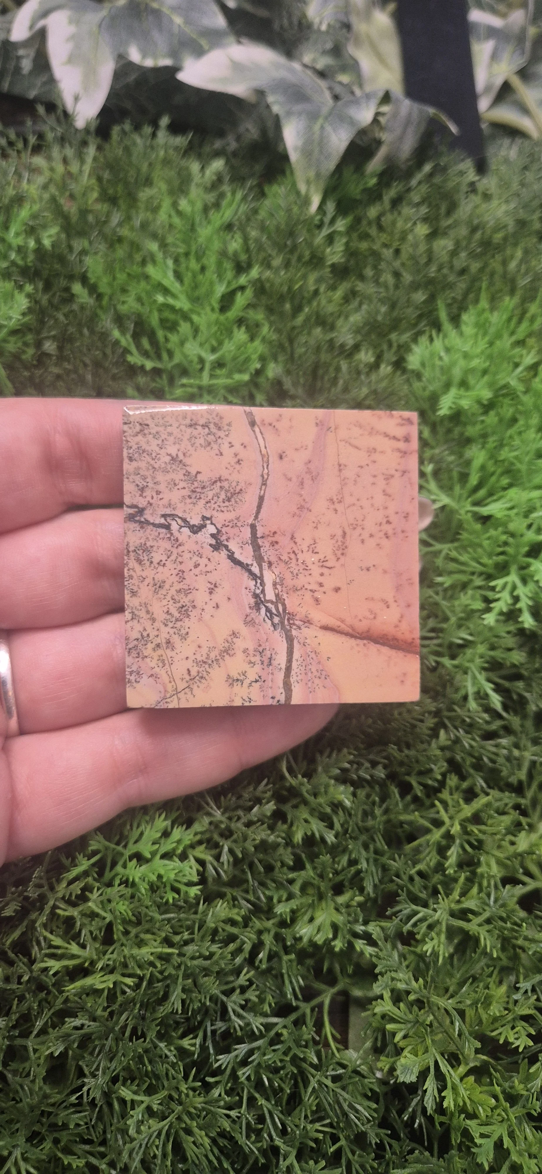Pink Dendritic Jasper Slab