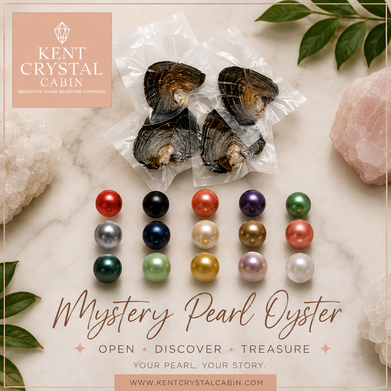 🦪✨ Mystery Pearl Oyster – We Open It For You ✨🦪