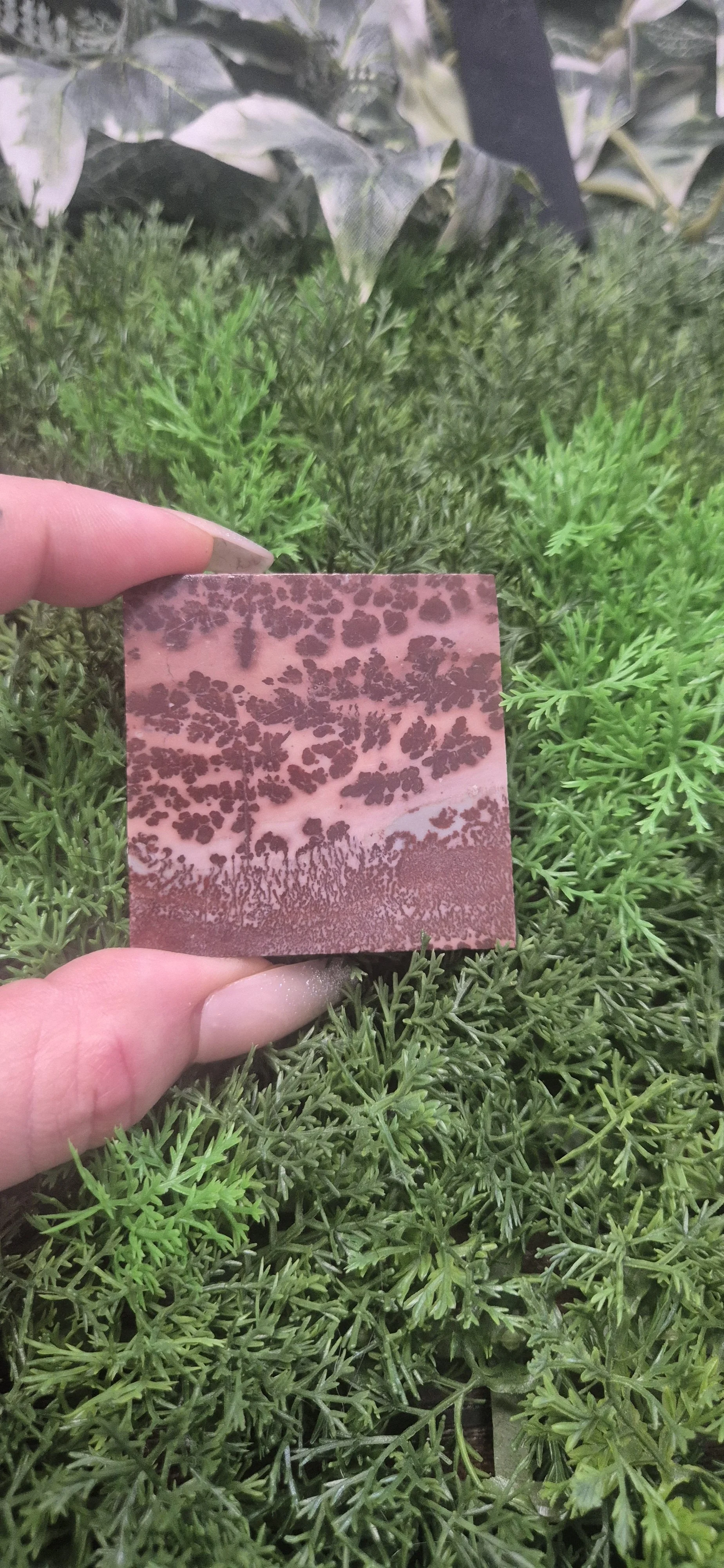 Pink & Burgundy Jasper Slab