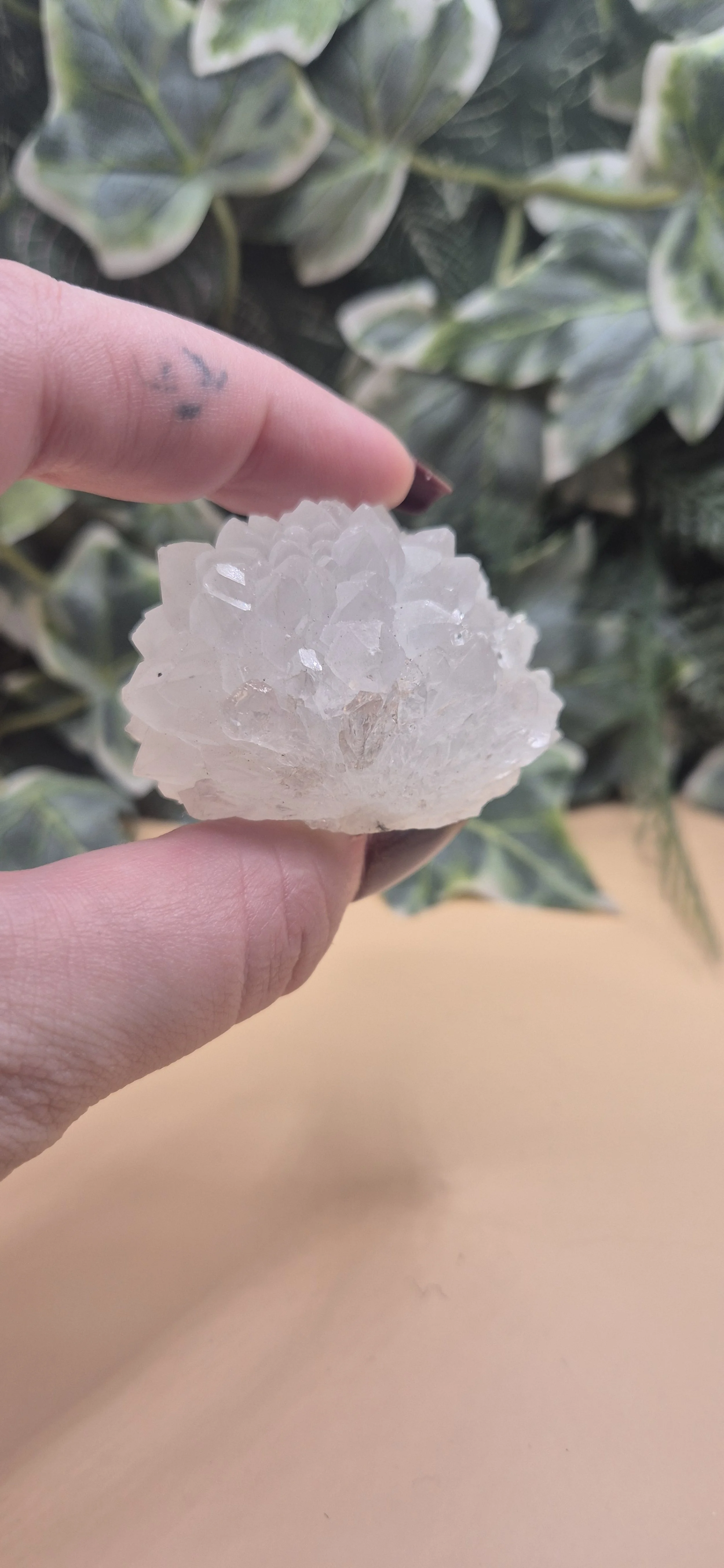 Apophyllite Crystal Cluster