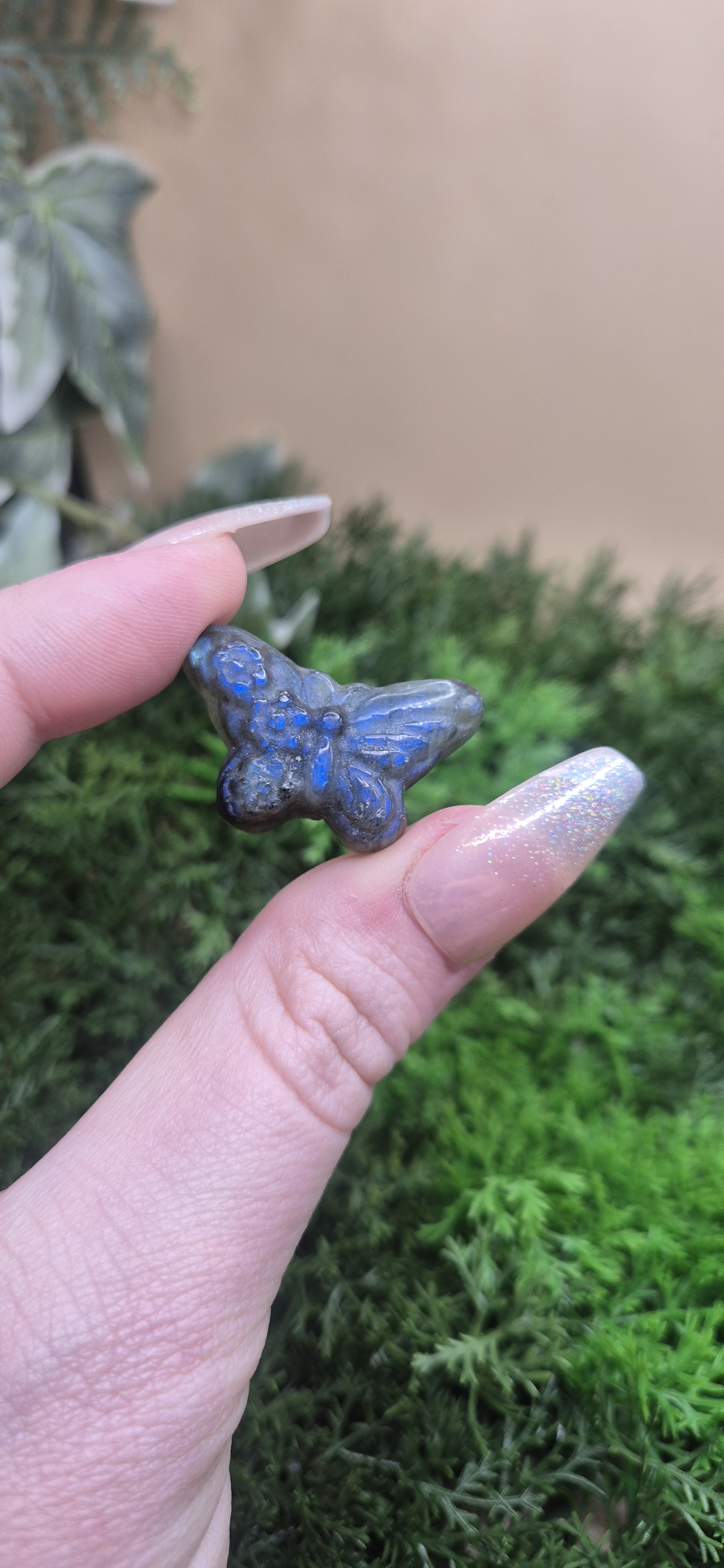 Labradorite Transformation Butterfly ⭐🦋