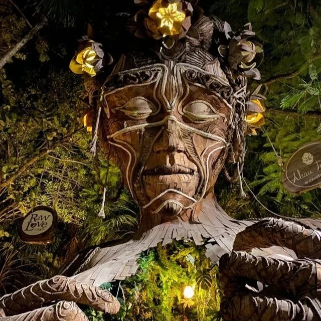 32 Reise: 54 tägige Mittelamerika- Wohnmobil Expedition-Freiheit zwischen Mayatempeln & Karibik-durch Mexiko, Guatemala & Belize- Honduras