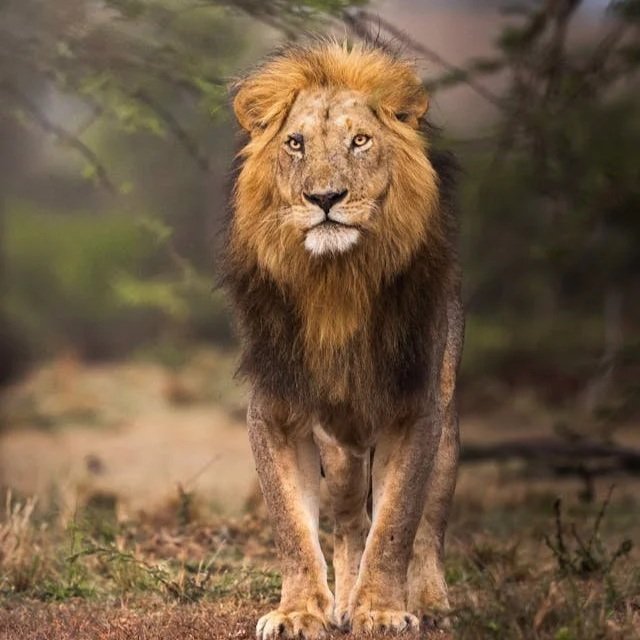 27 Reise: 62 tägige Wild - Southern -  Africa -  Extreme, das ultimative 4x4  Abenteuer