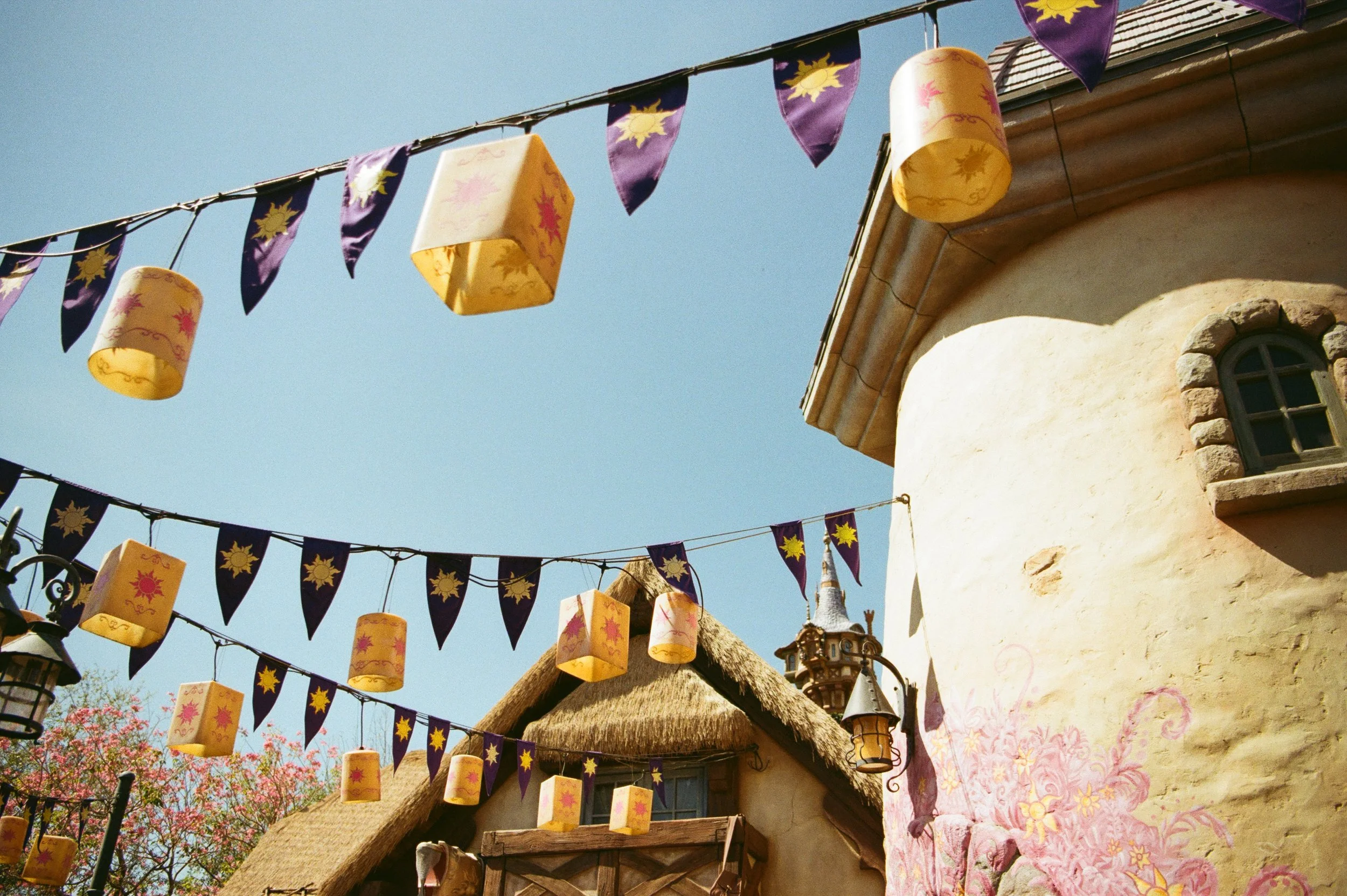 Missy Scharer, Milwaukee Based Travel Agent, Travel Photographer, Walt Disney World Travel Agent, Repunzel's Bathroom Magic Kingdom.jpg