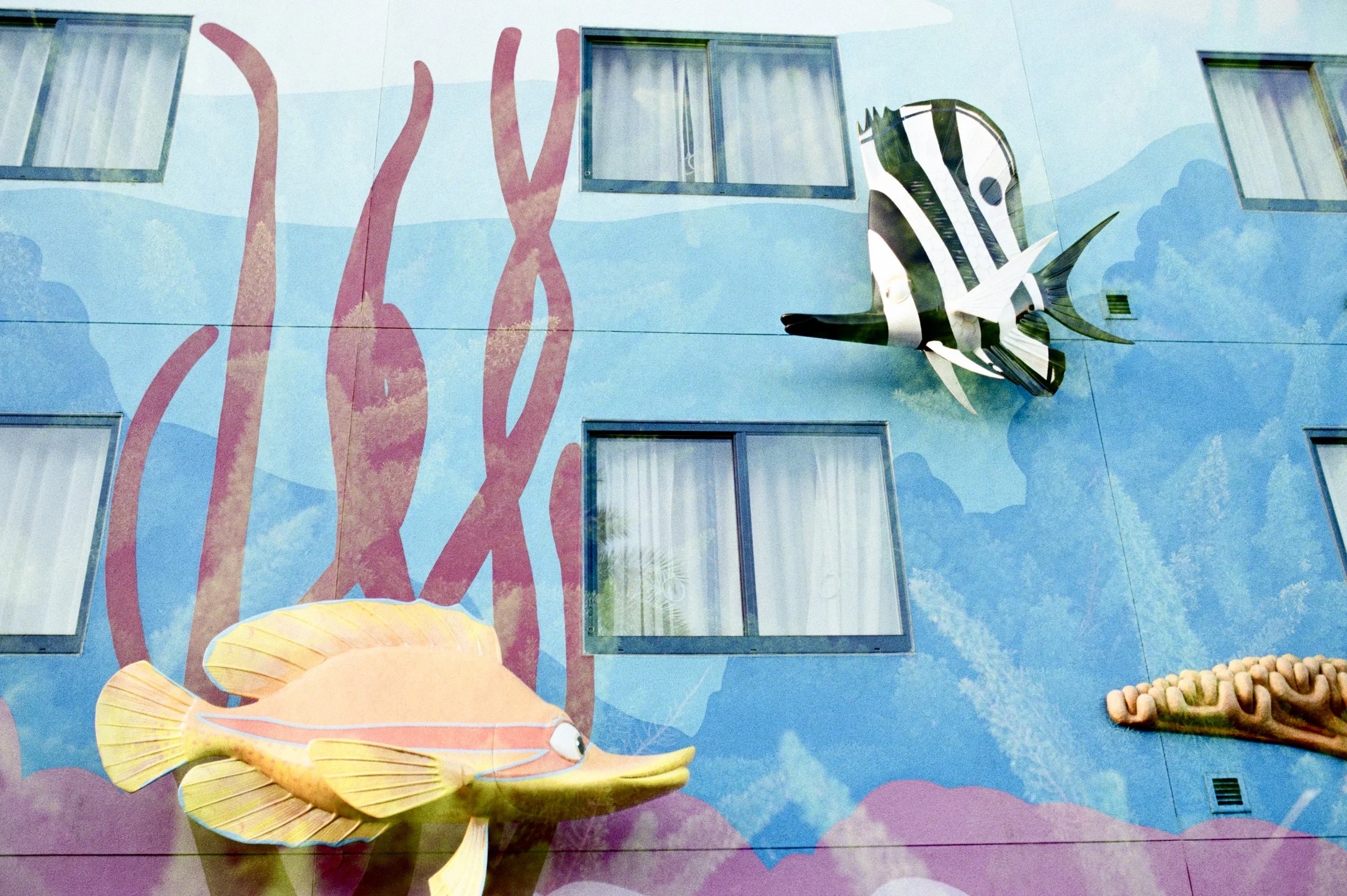 Colorful mural on building wall featuring a large three-dimensional fish, including a yellow and orange fish at the bottom, a black and white striped fish at the top, and pink coral-like structures, with three windows visible.