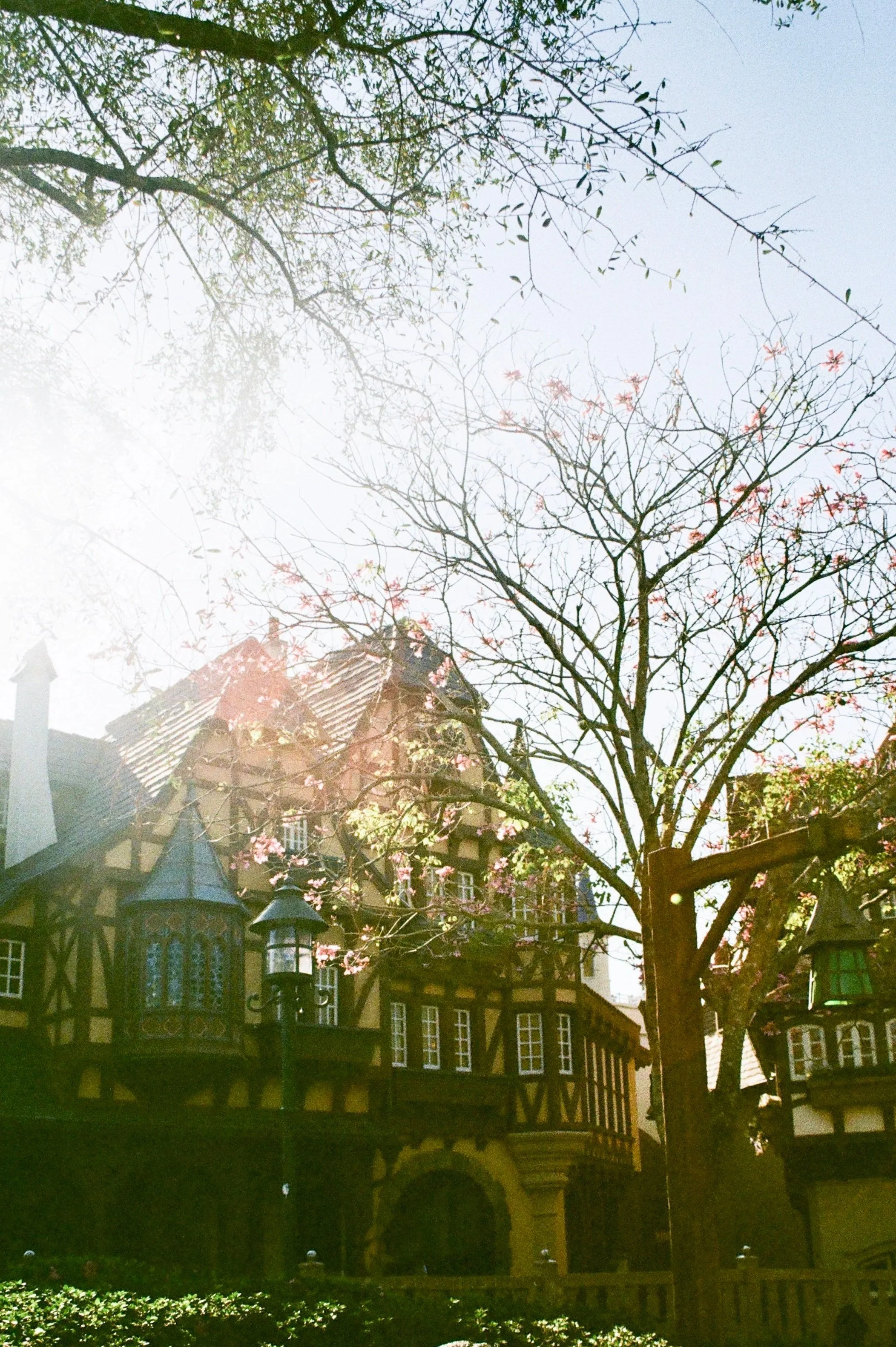 A large, Tudor-style house with a steep roof, turrets, and multiple windows, surrounded by trees with blooming pink flowers and a clear blue sky in the background.