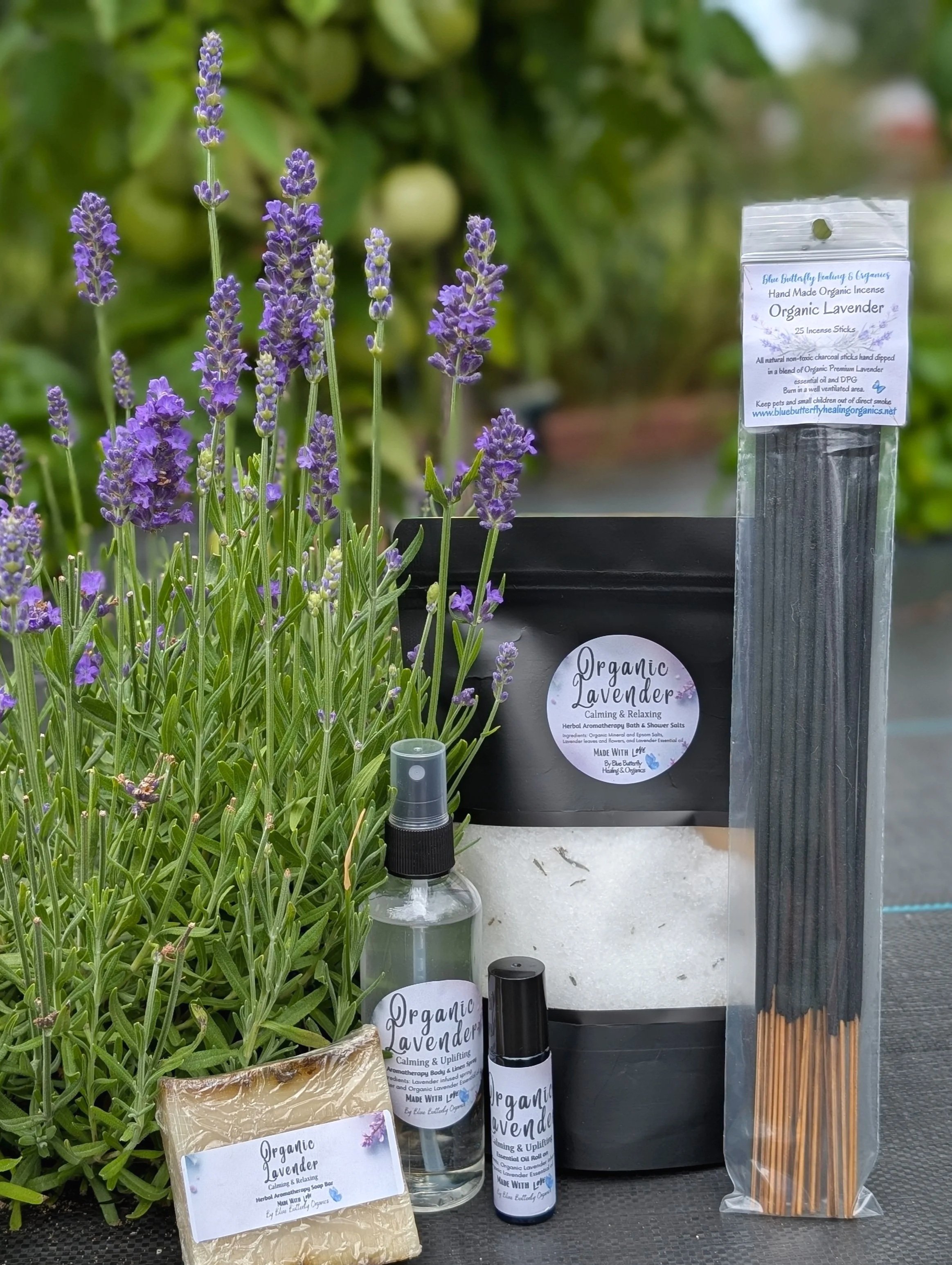 Lavender Body Care Collection
