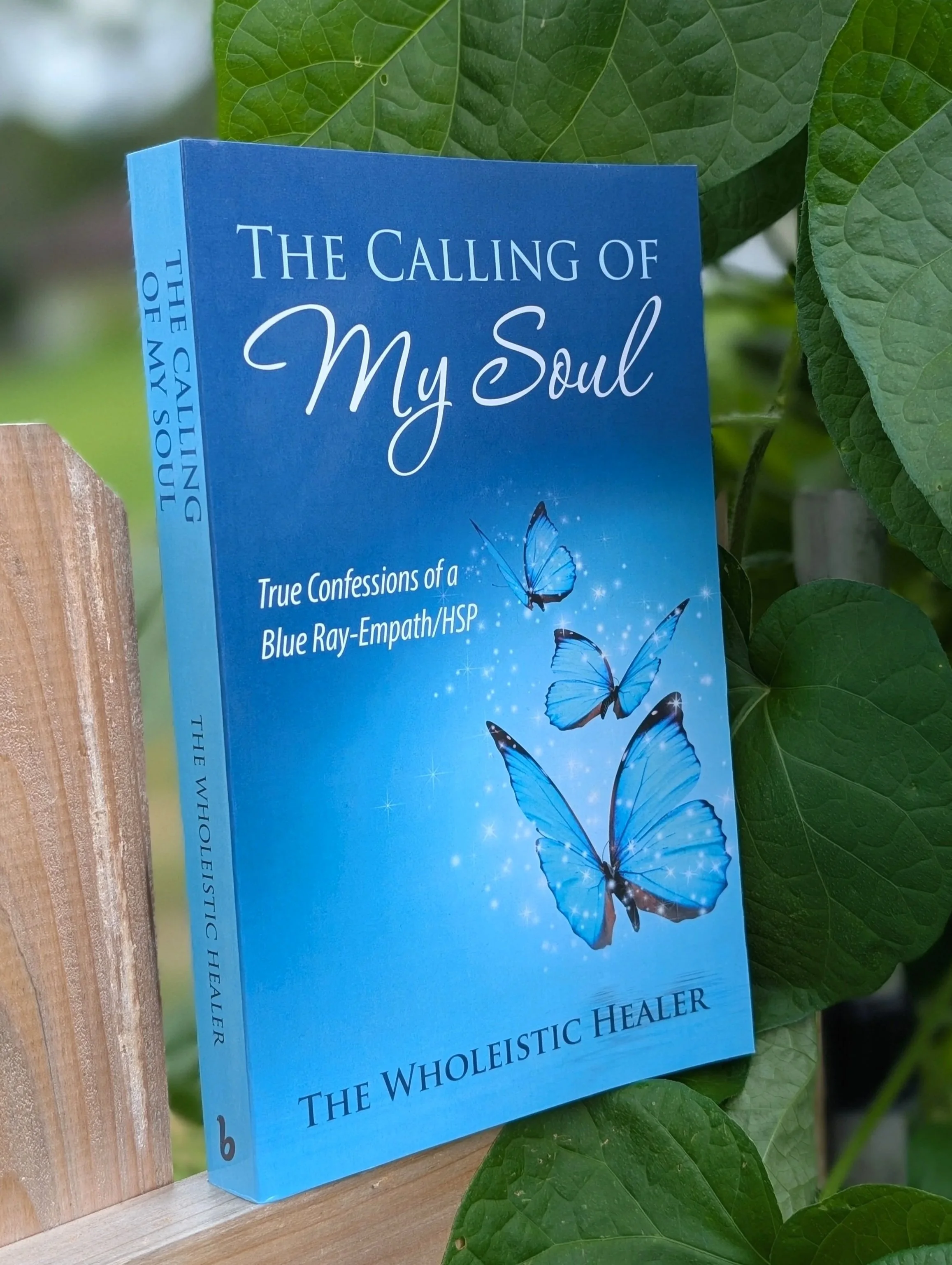 The Calling of my Soul Paperback