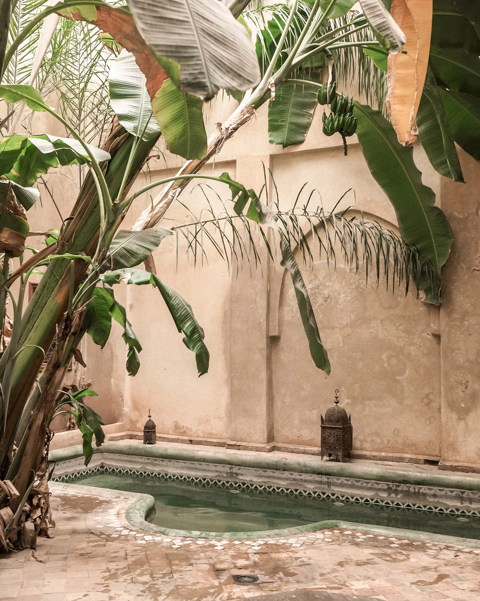 Essential oils for your Sanctuary